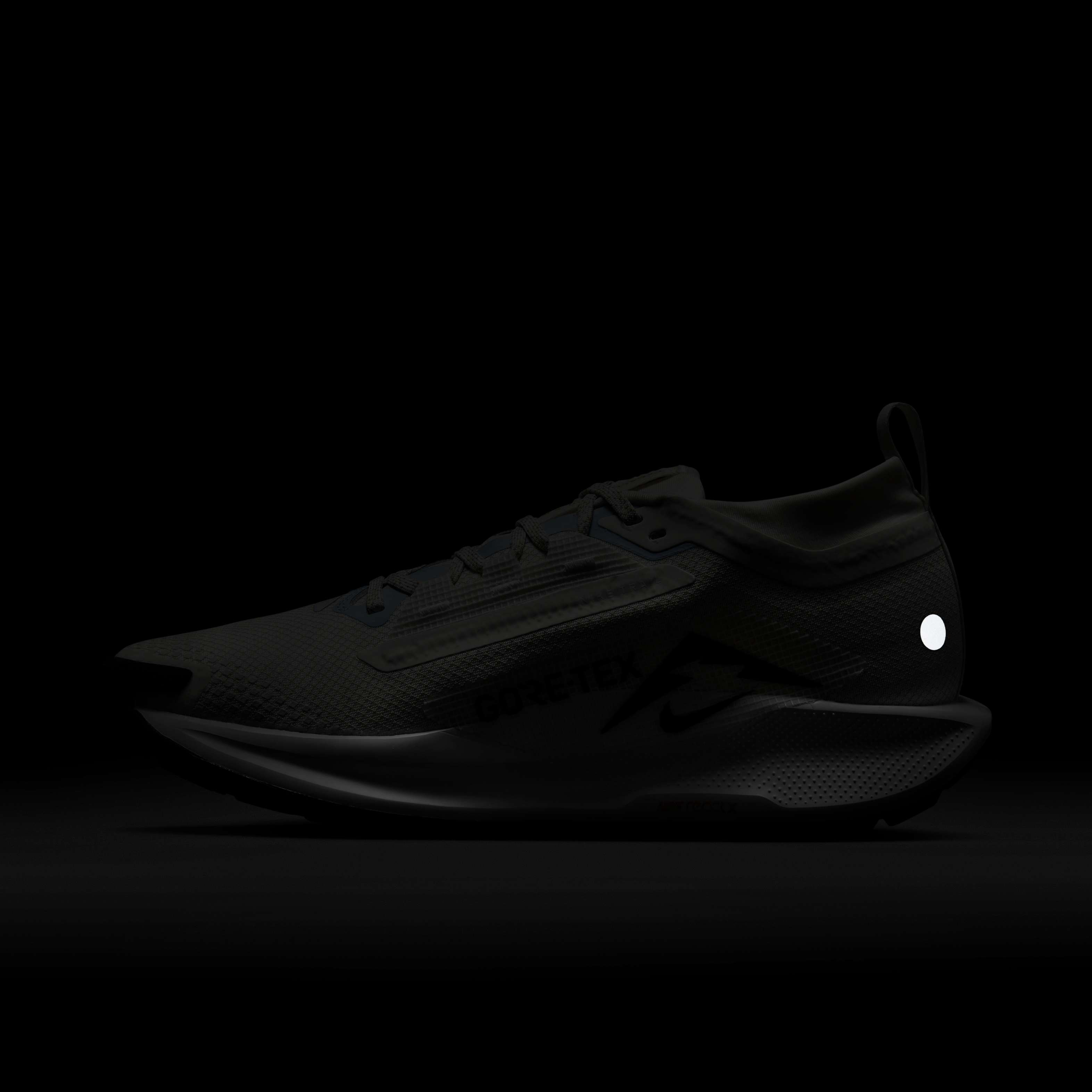 نايكي بيجاسوس تريل 5 جور-تكس image number 9