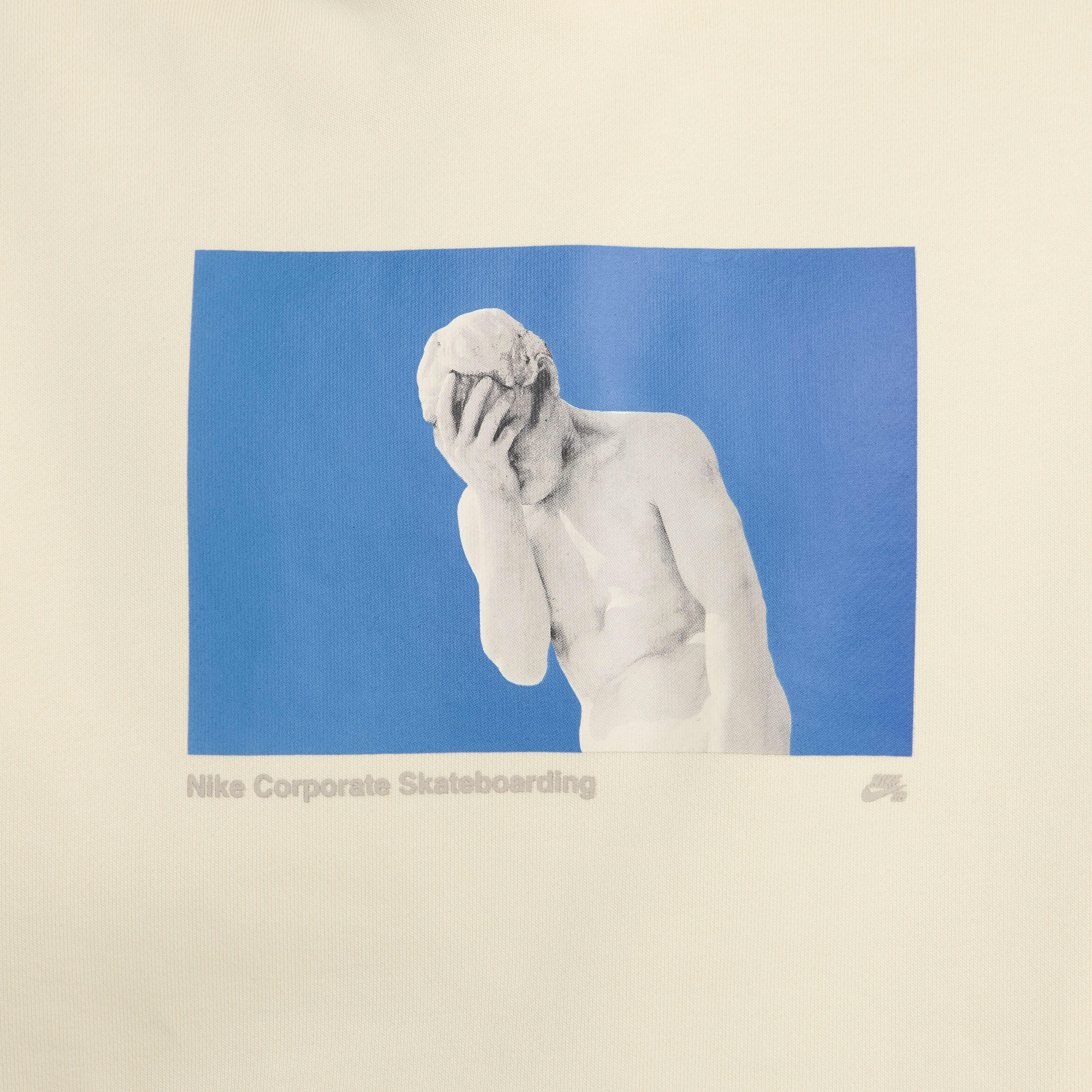 نايكي SB image number 3