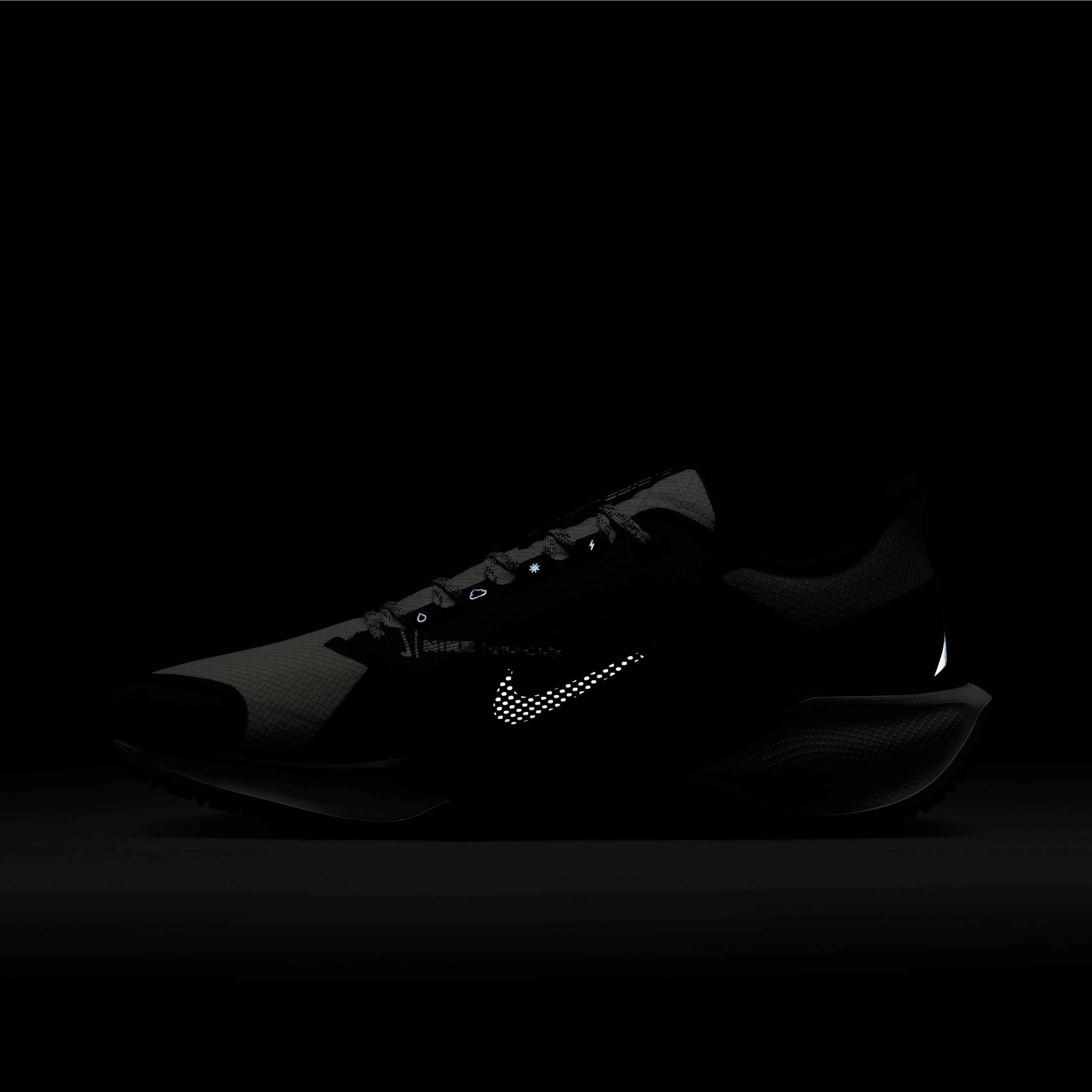 Nike Pegasus 41 GORE-TEX image number 11
