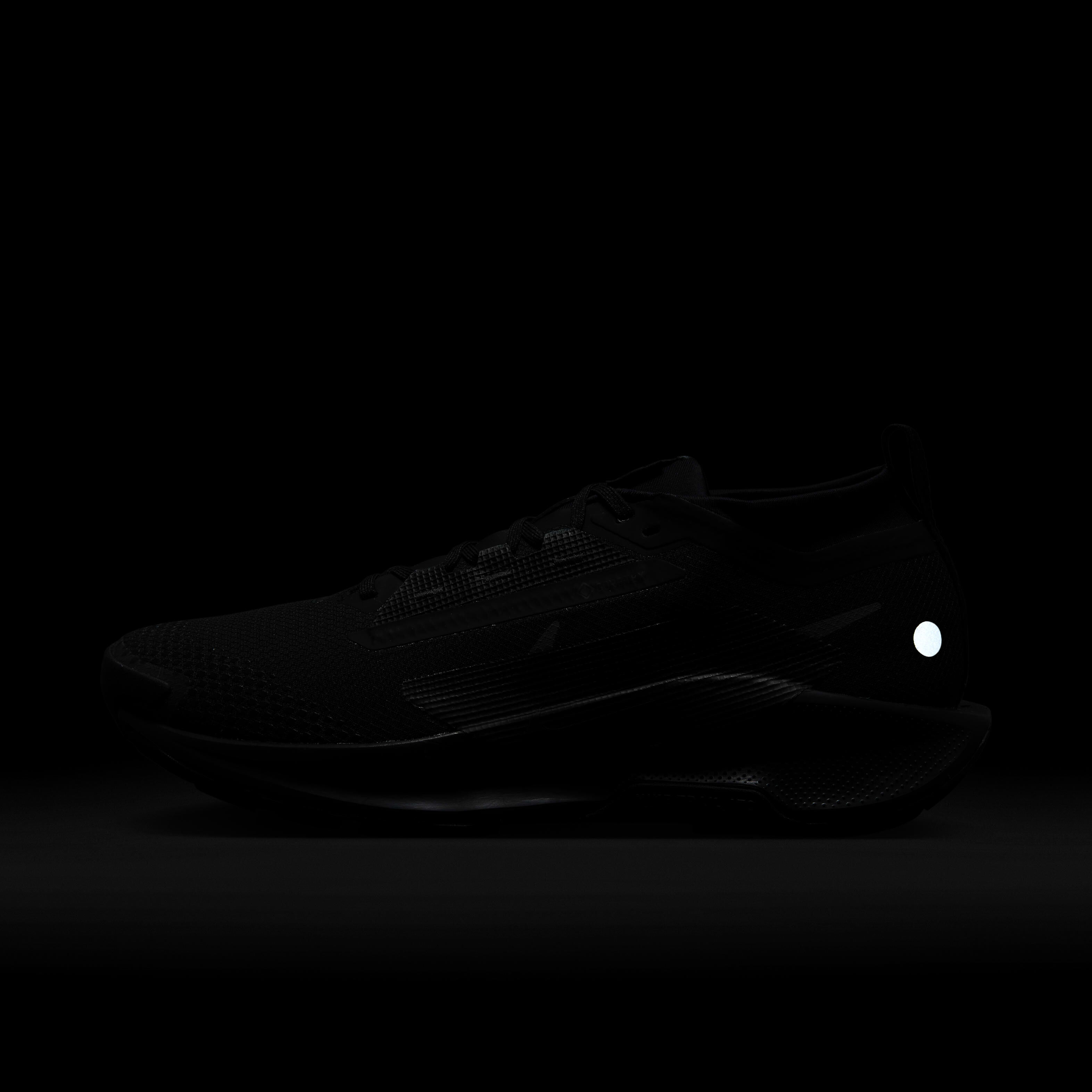 Nike Pegasus Trail 5 GORE-TEX image number 8