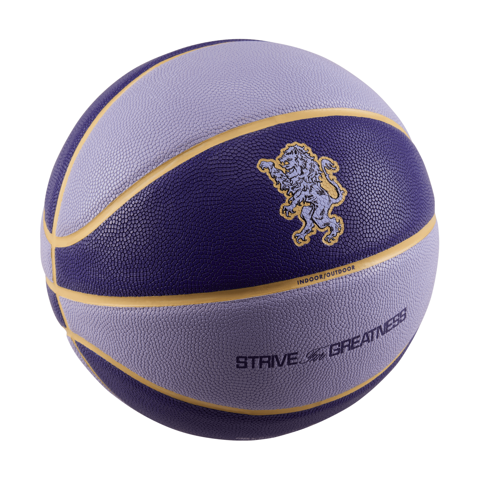Buy LeBron James LeBron All-Court 8P Basketball (Deflated