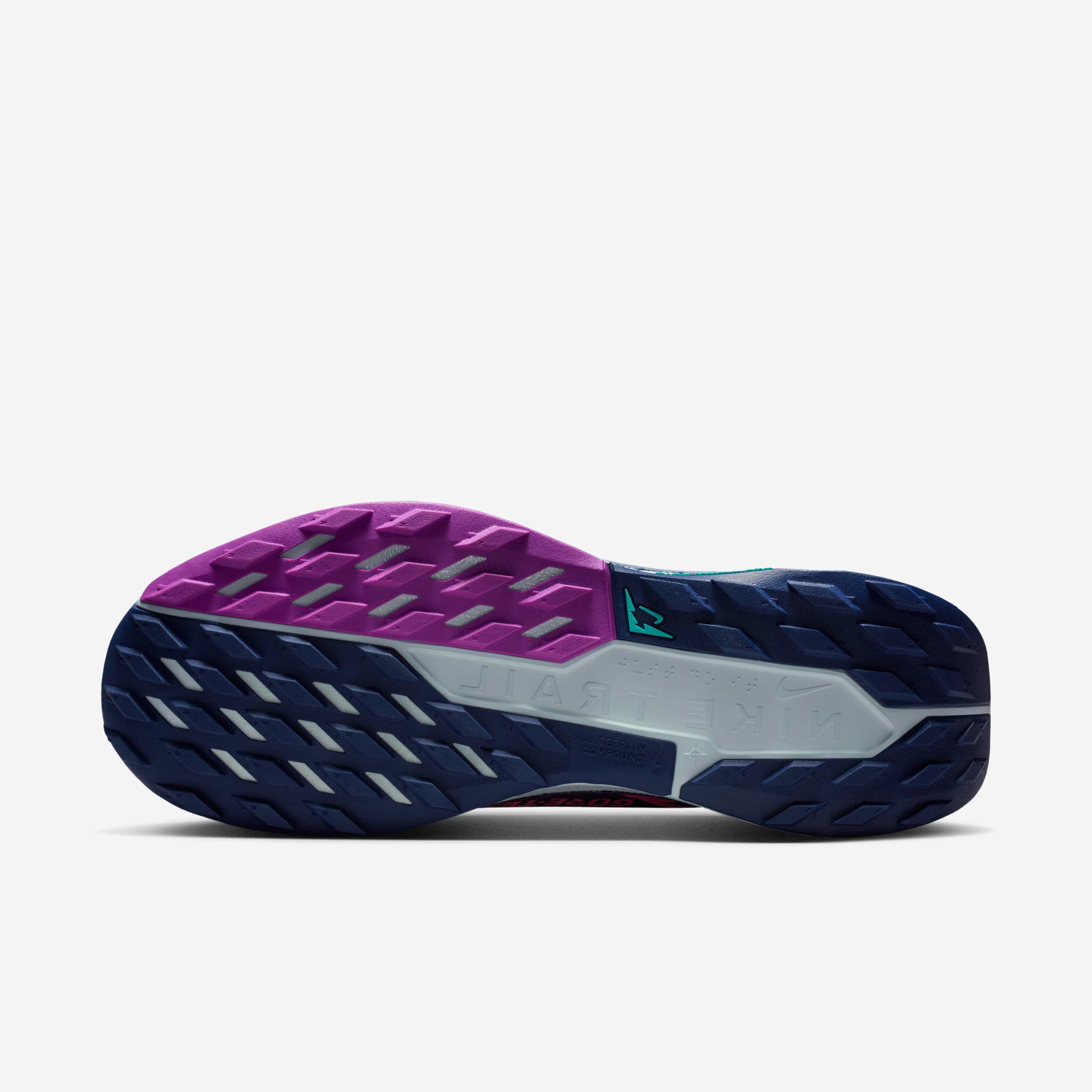 Nike Pegasus Trail 5 GORE-TEX image number 1