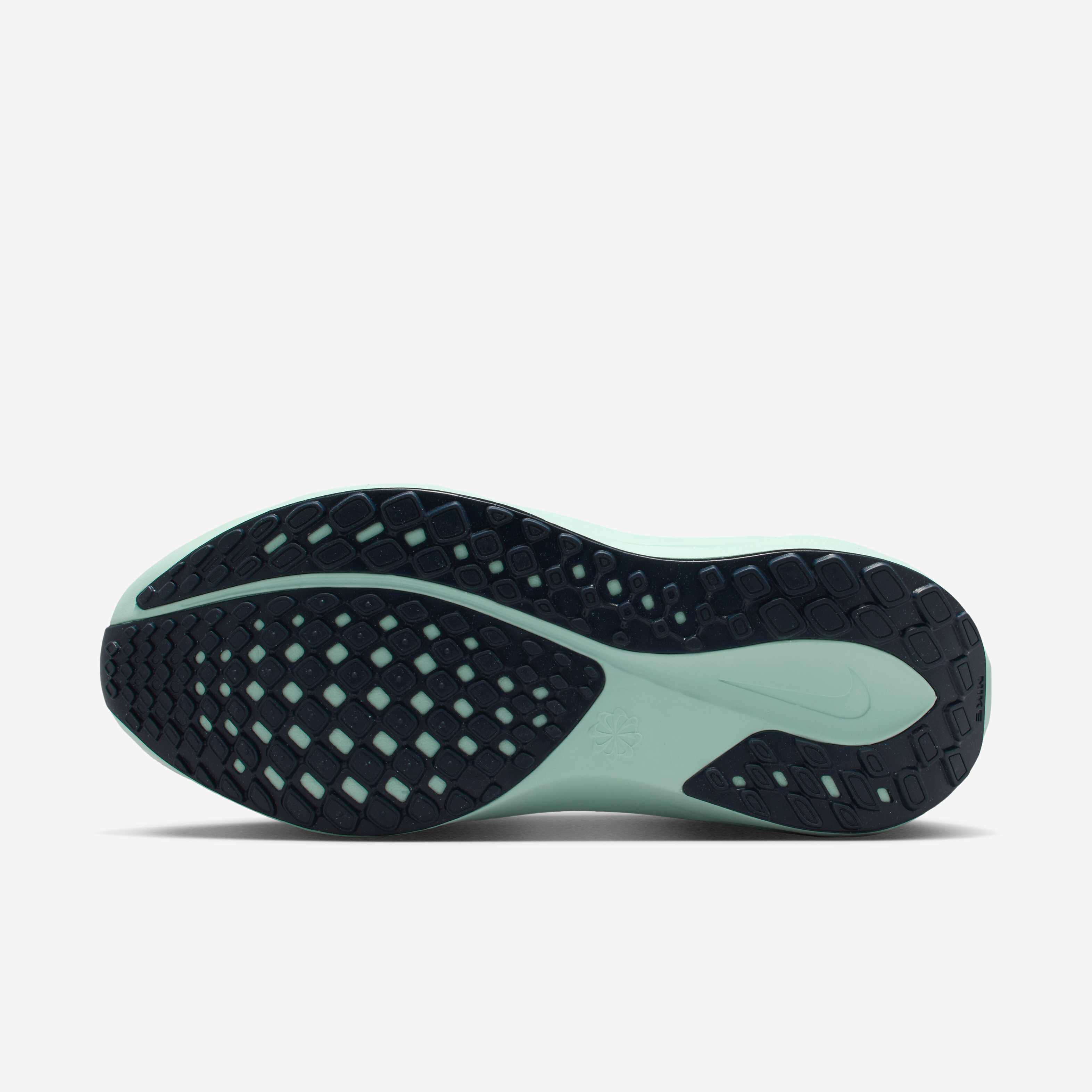 نايكي بيجاسوس 41 image number 1