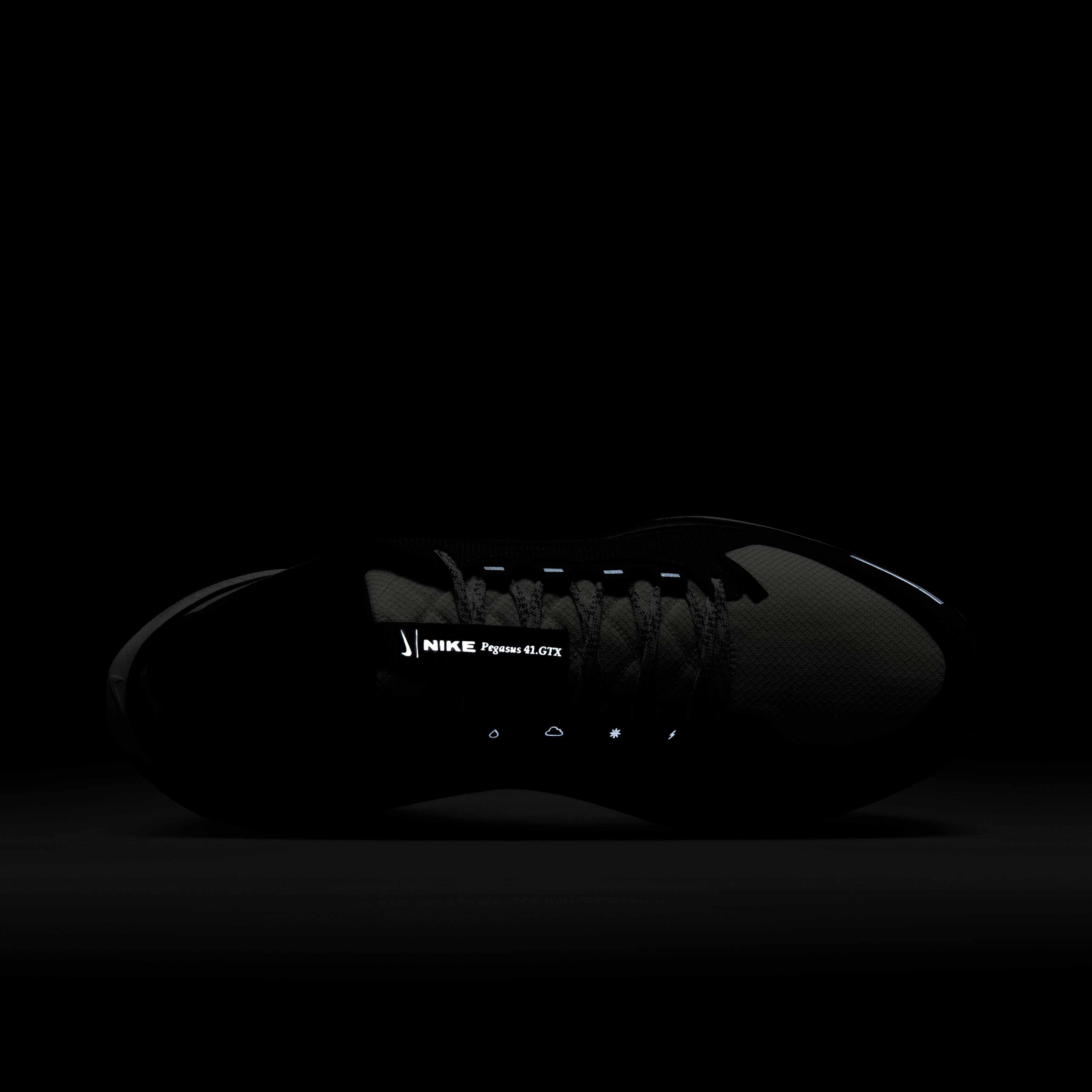 Nike Pegasus 41 GORE-TEX image number 8