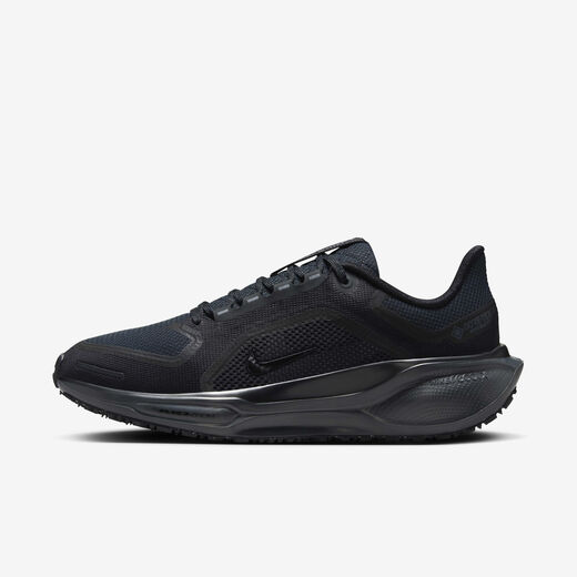Nike Pegasus 41 GORE-TEX
