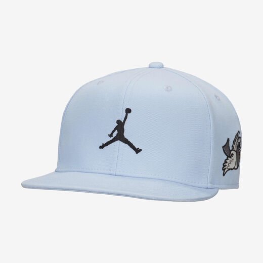 Hats, Visors & Headbands-Jordan, Jordan Pro Cap, Adjustable Hat