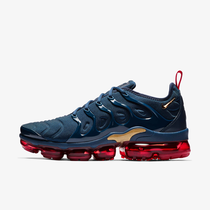 Nike Air VaporMax Plus