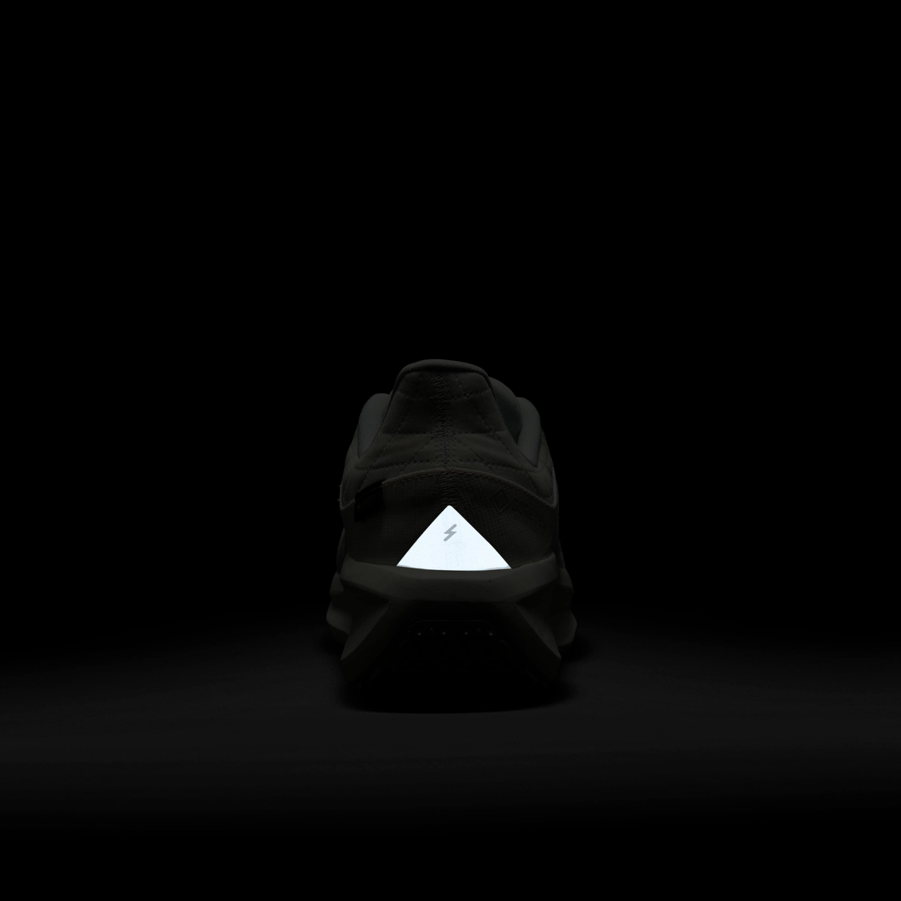 Nike Winflo 11 GORE-TEX image number 8