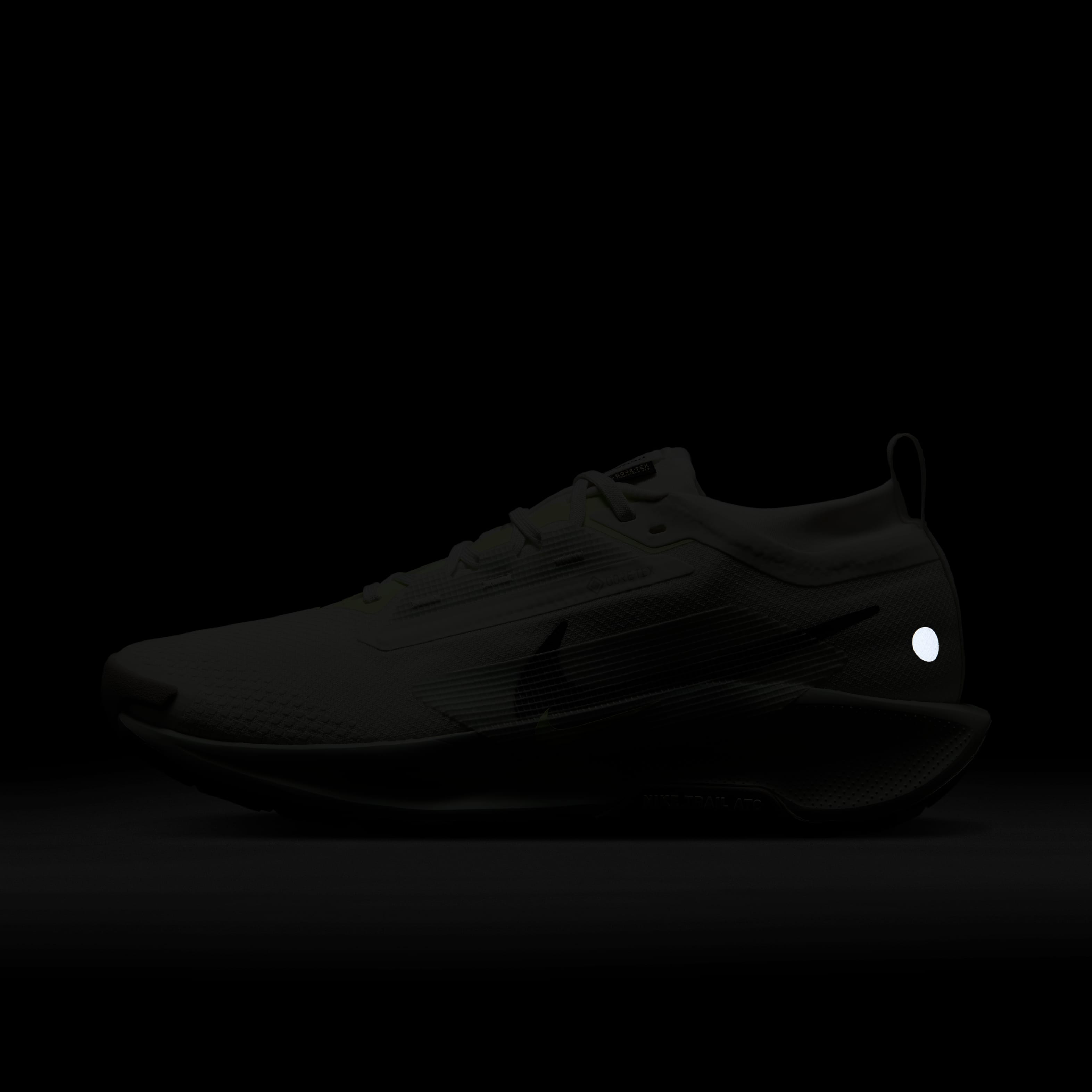 نايكي بيجاسوس تريل 5 جور-تكس image number 9