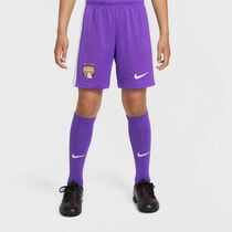 Al Ain FC 2025/26 Stadium Home