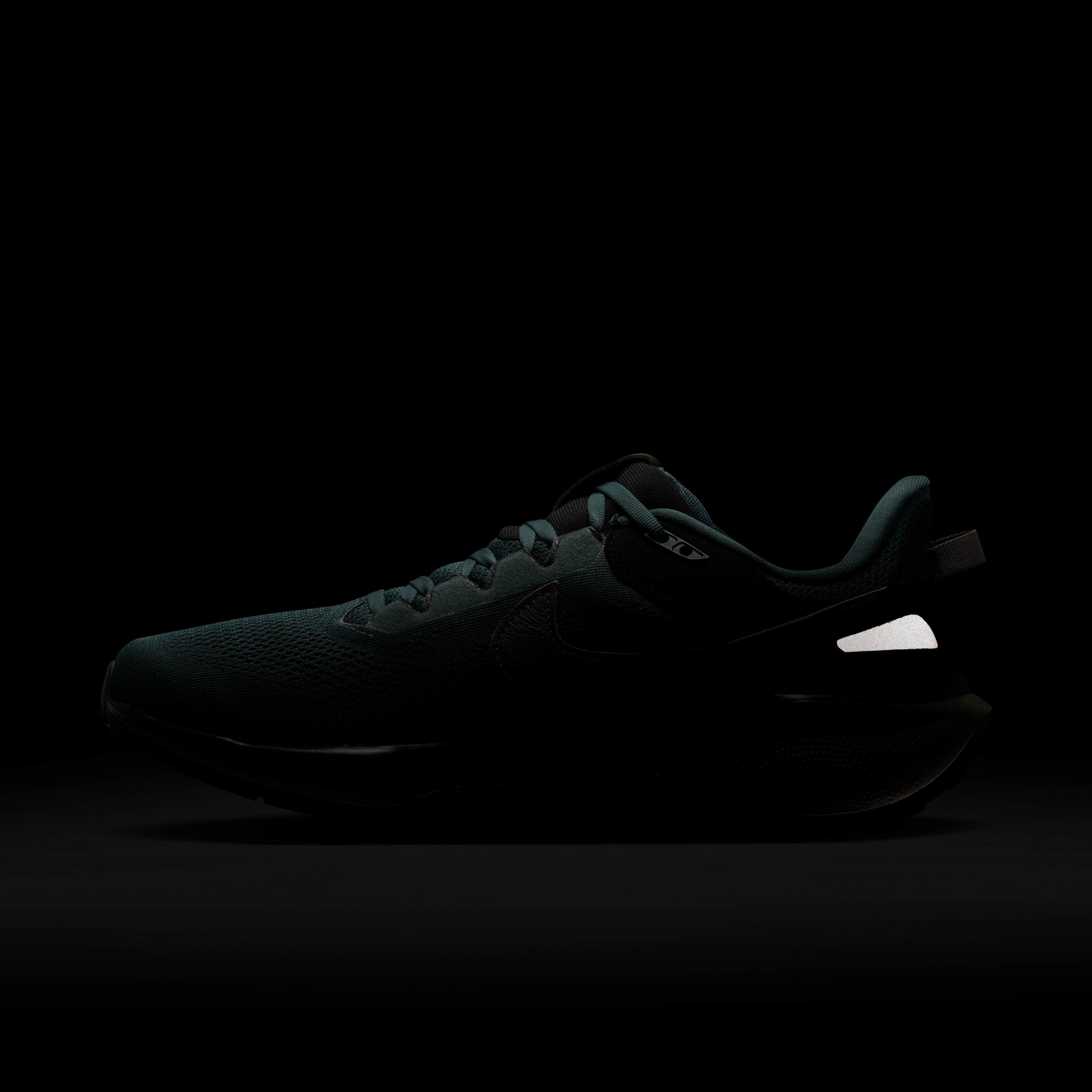 Nike Air Zoom Pegasus 41 SP image number 10