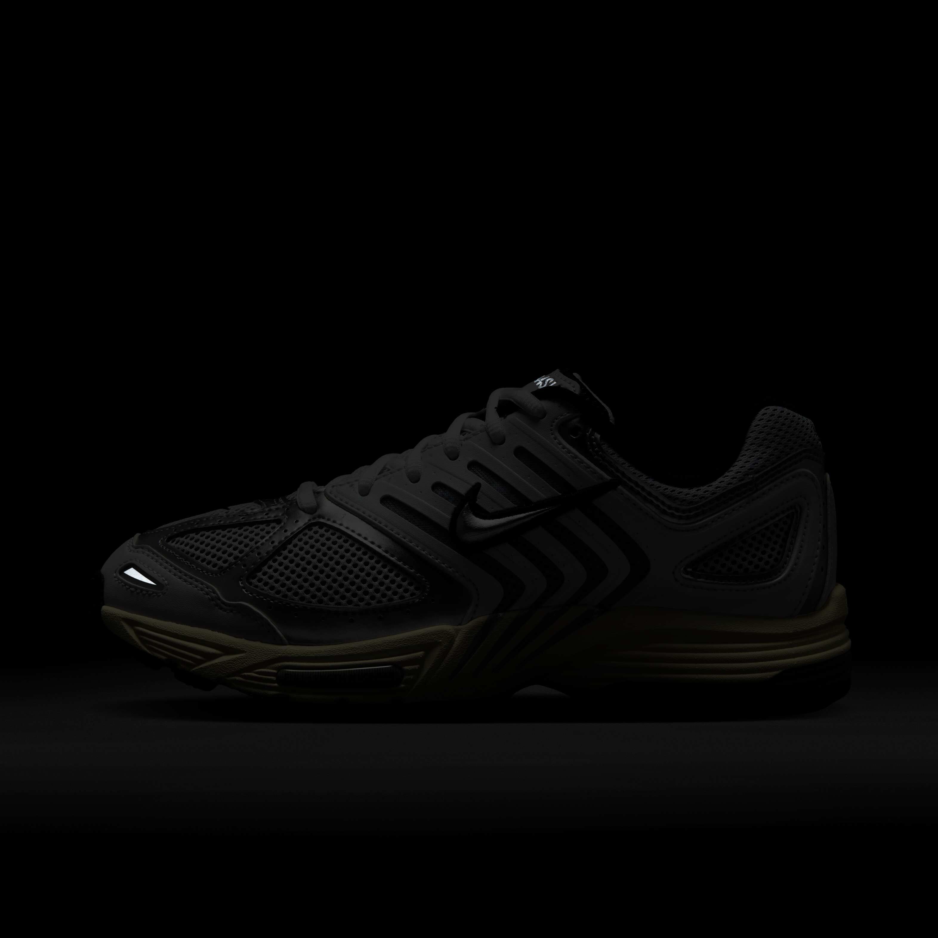 نايكي اير بيجاسوس 2005 image number 10