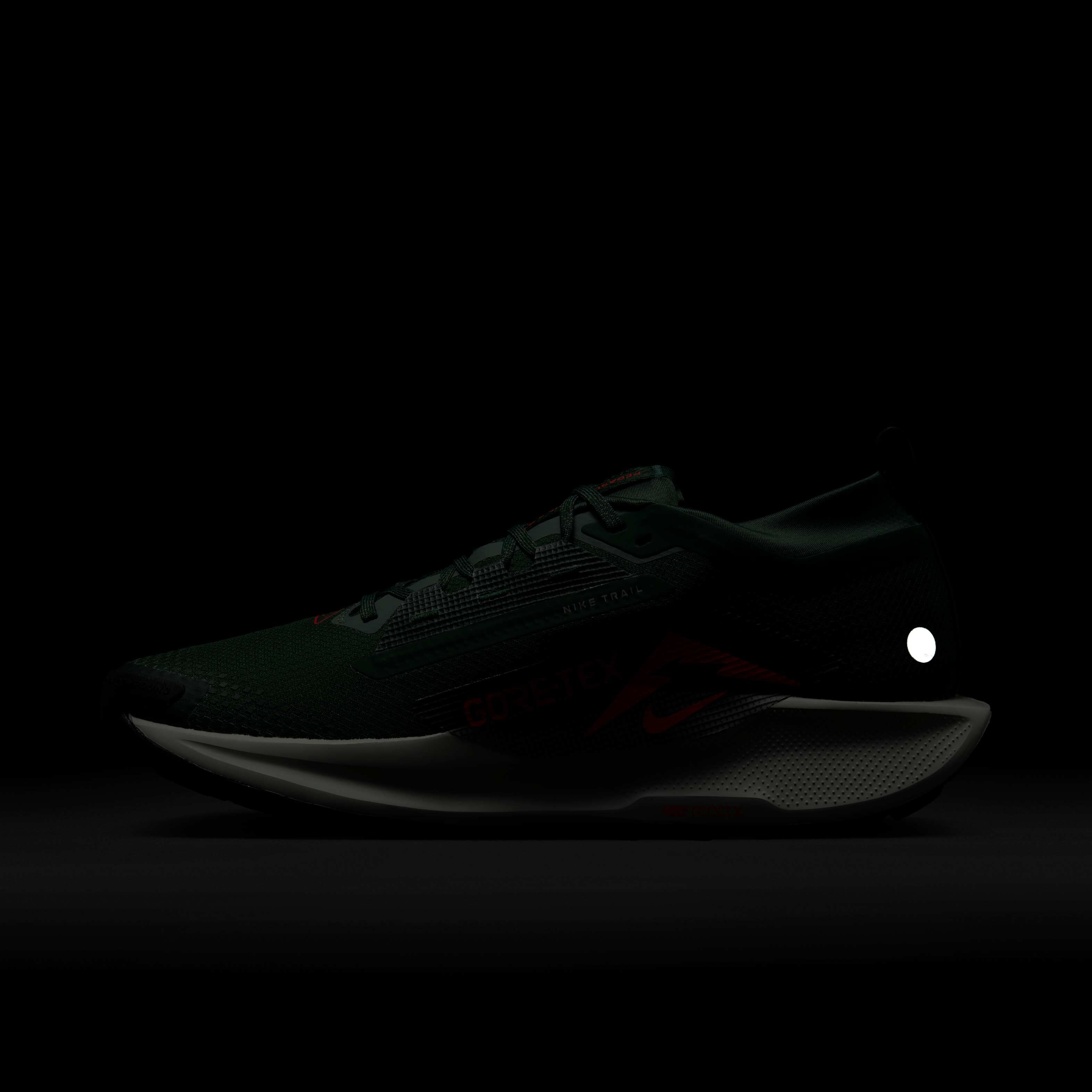 Nike Pegasus Trail 5 GORE-TEX image number 11