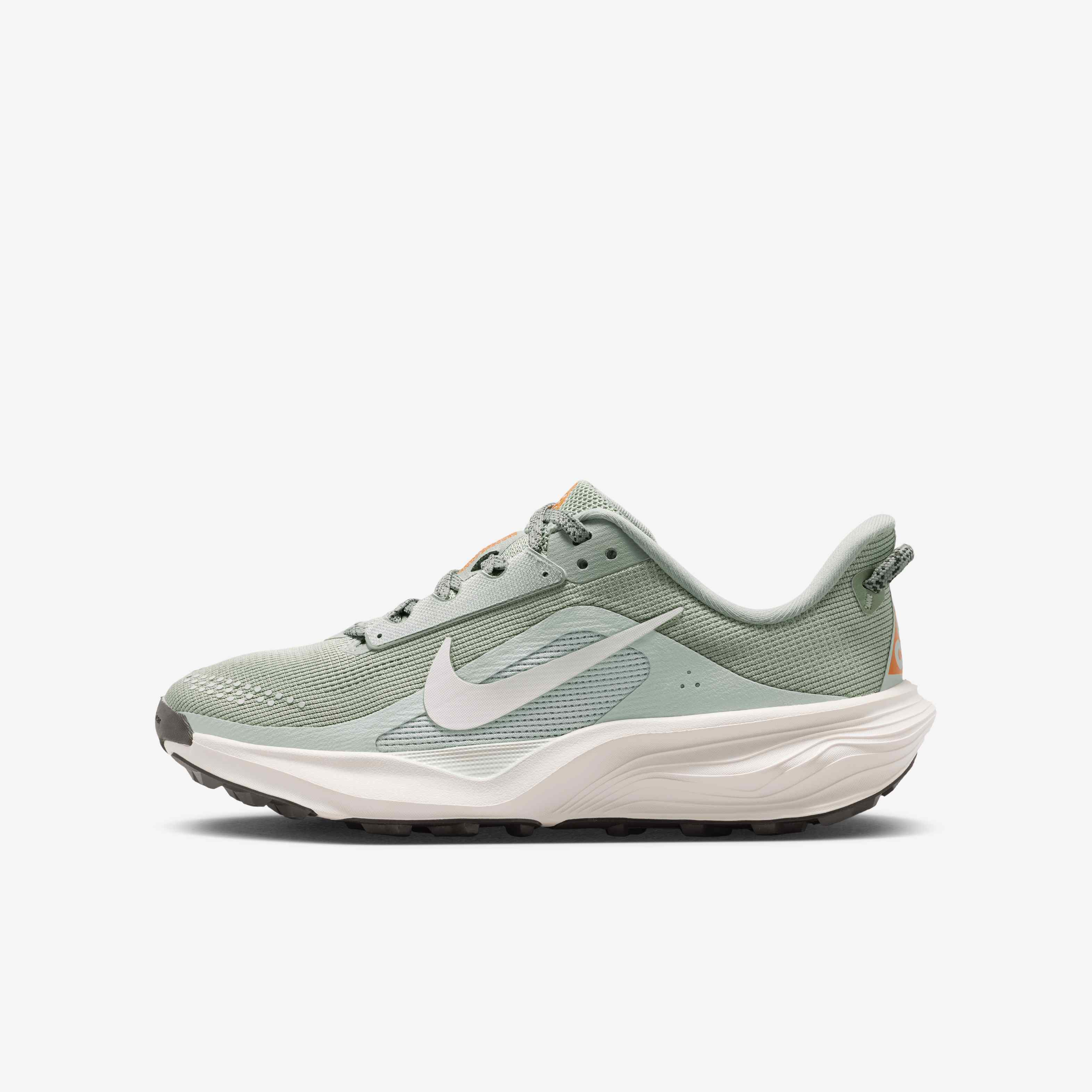 نايكي ACG بيجاسوس تريل image number 0