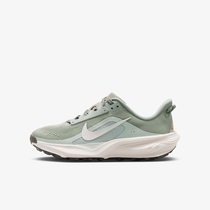 نايكي ACG بيجاسوس تريل