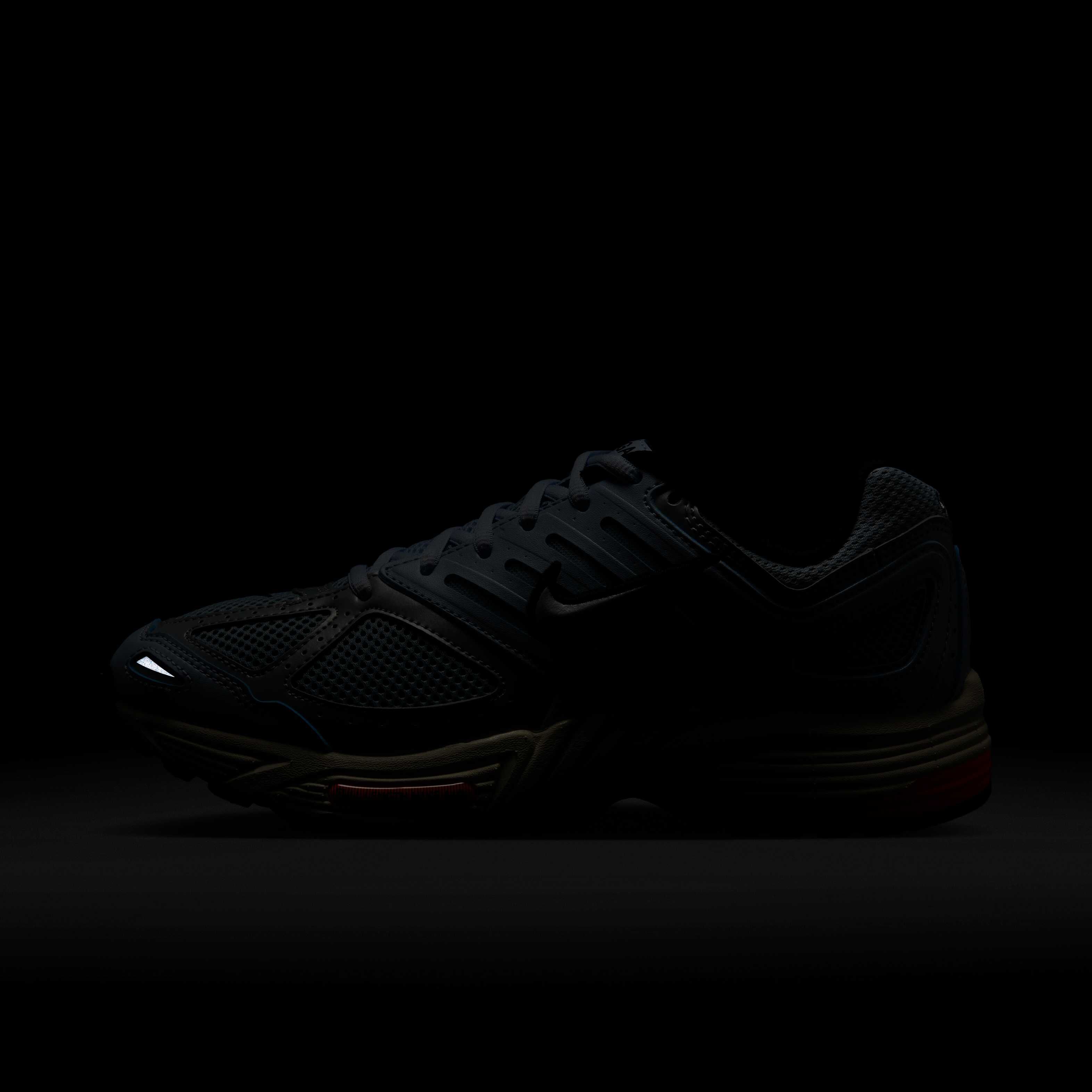 نايكي اير بيجاسوس 2005 image number 10