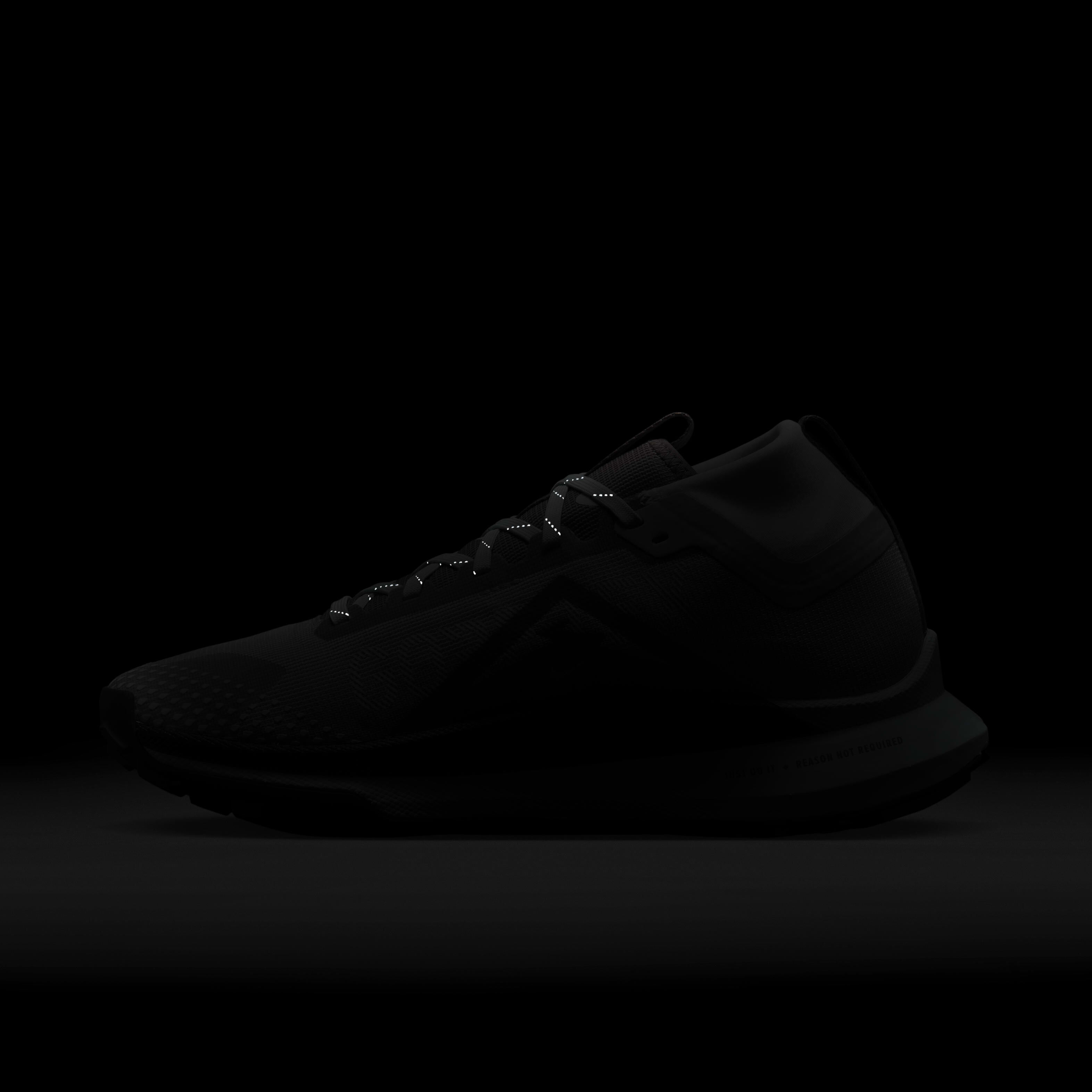 Nike Pegasus Trail 4 GORE-TEX image number 10