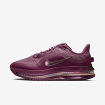 Nike Pegasus Premium