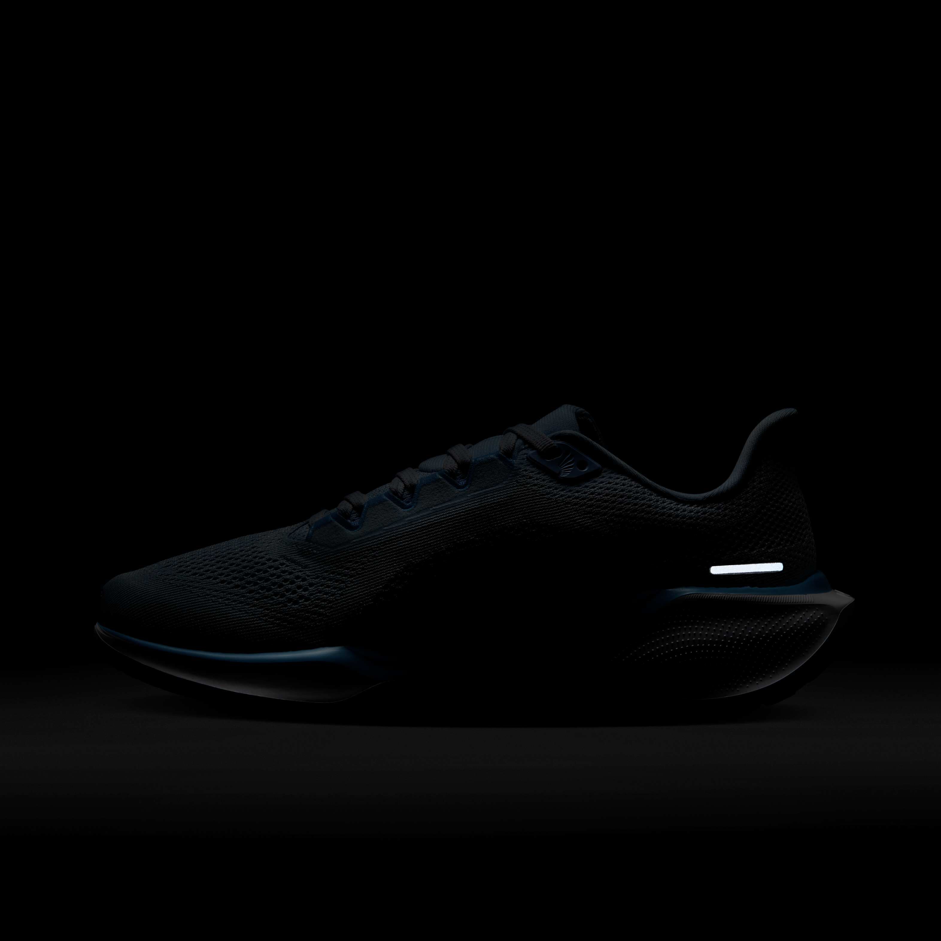 Nike Pegasus 41 image number 10