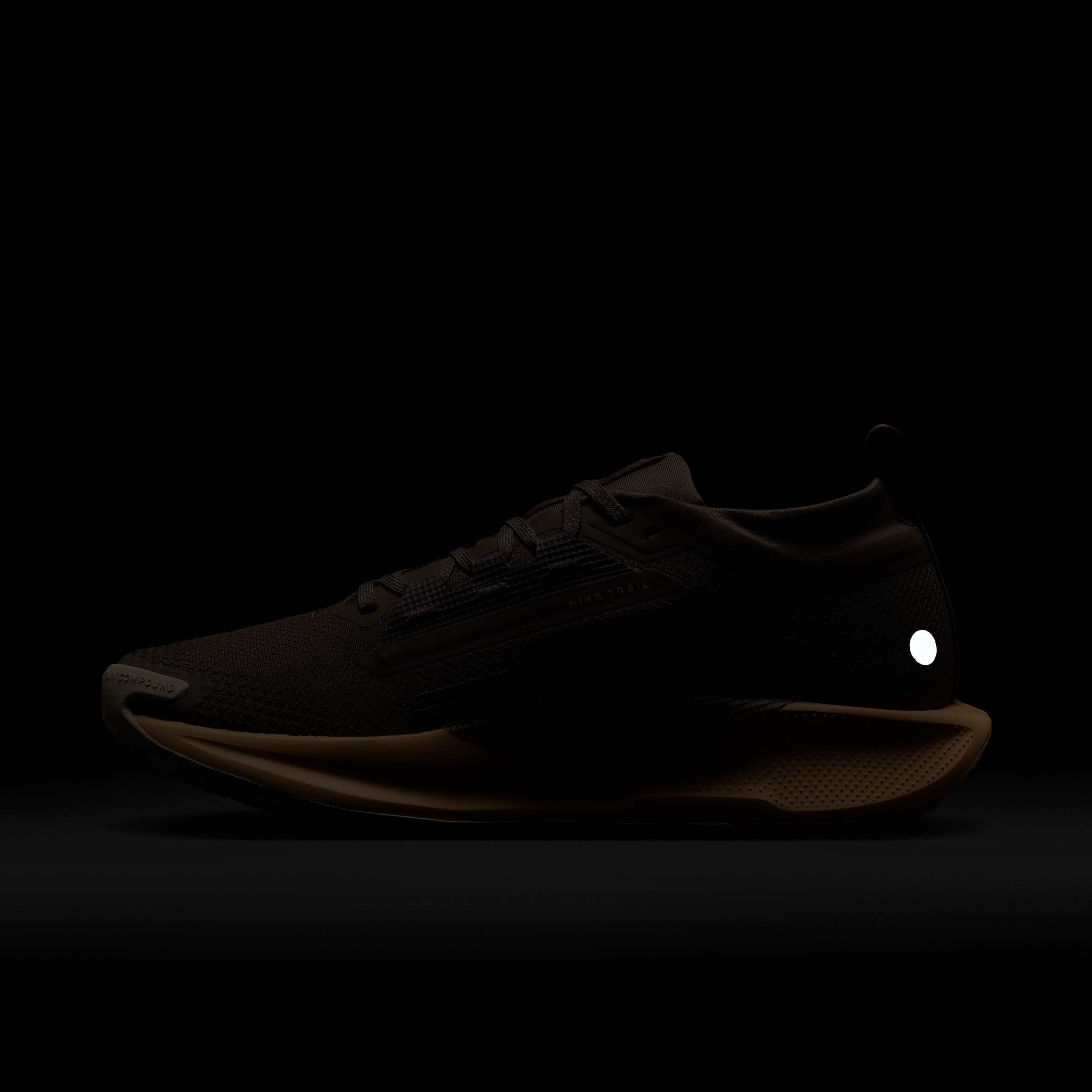 Nike Pegasus Trail 5 GORE-TEX image number 10