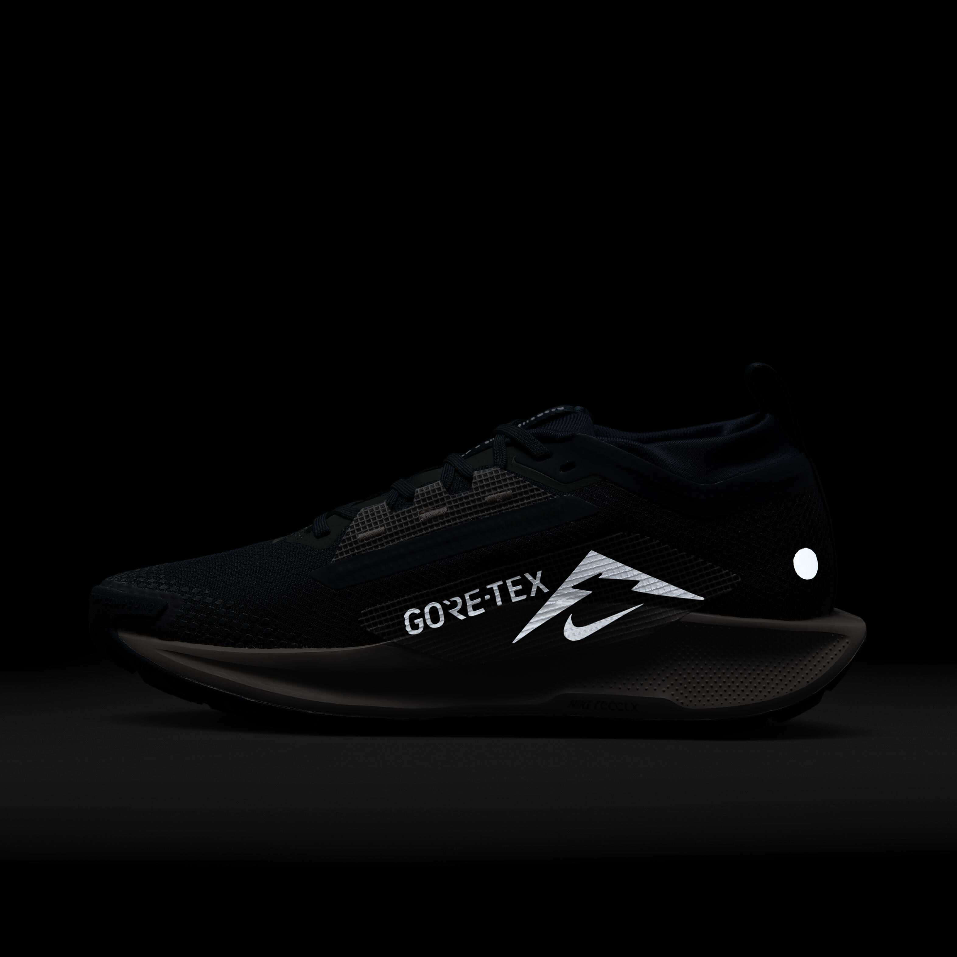 Nike Pegasus Trail 5 GORE-TEX image number 11