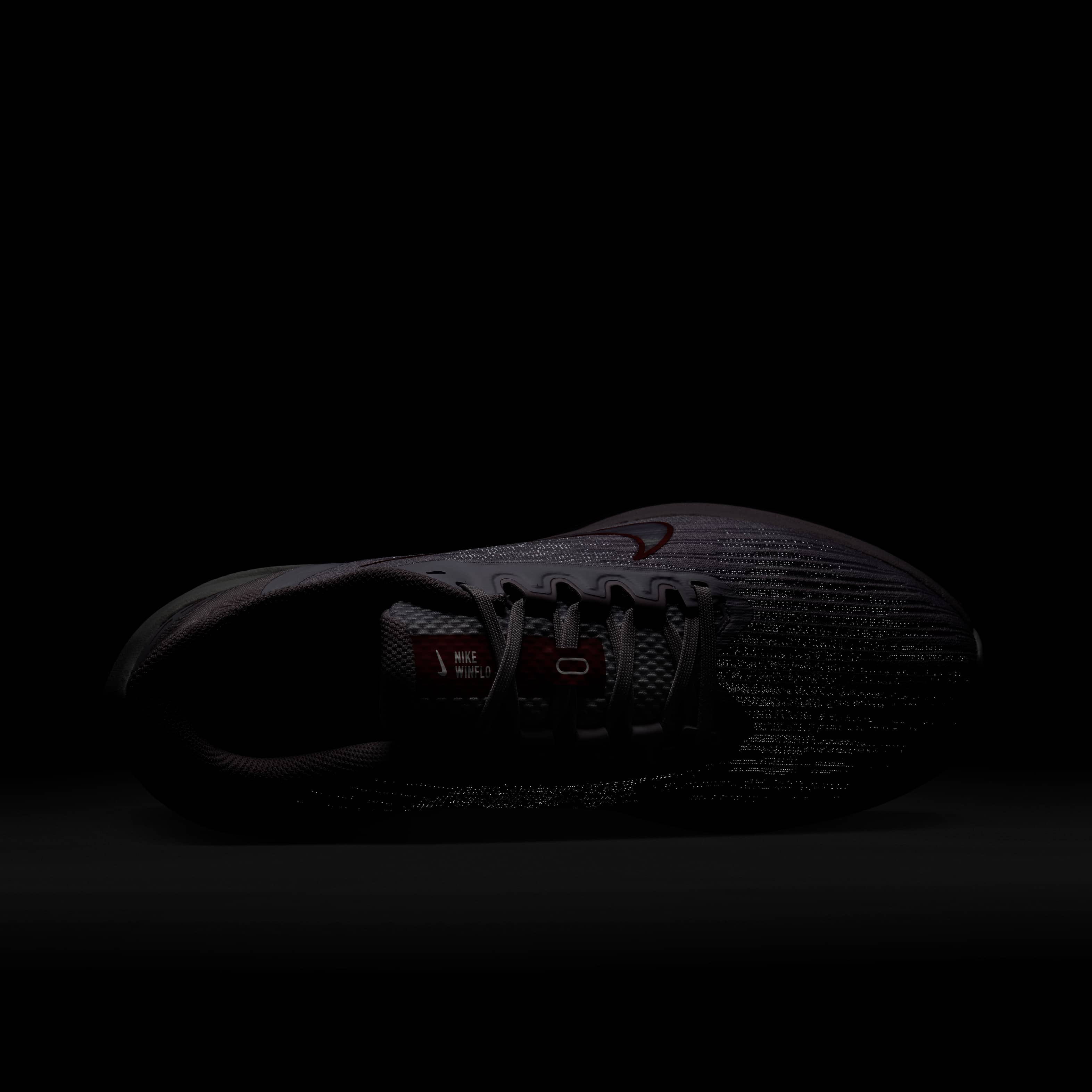 Nike Winflo 9 image number 8