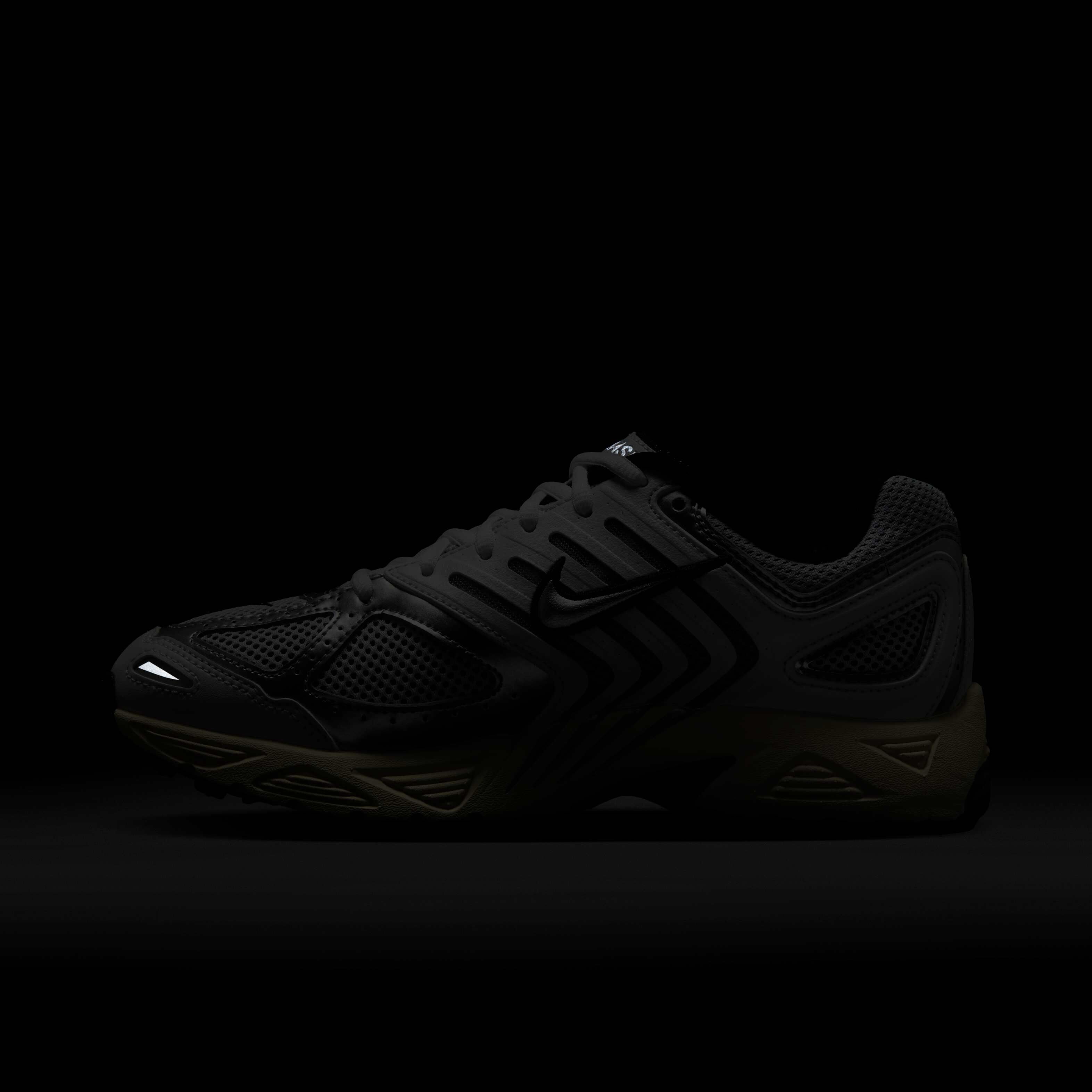 نايكي اير بيجاسوس 2005 image number 11