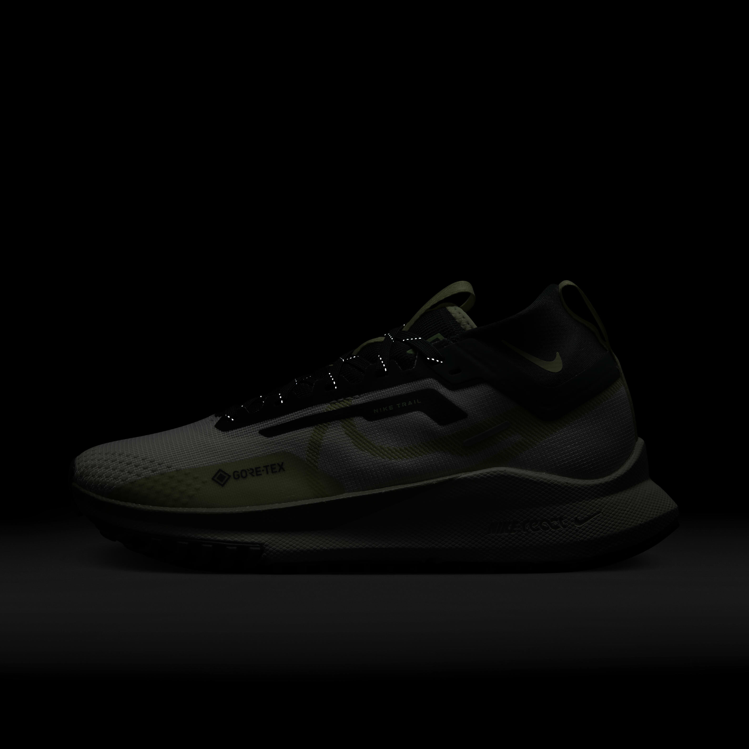 Nike Pegasus Trail 4 GORE-TEX image number 9