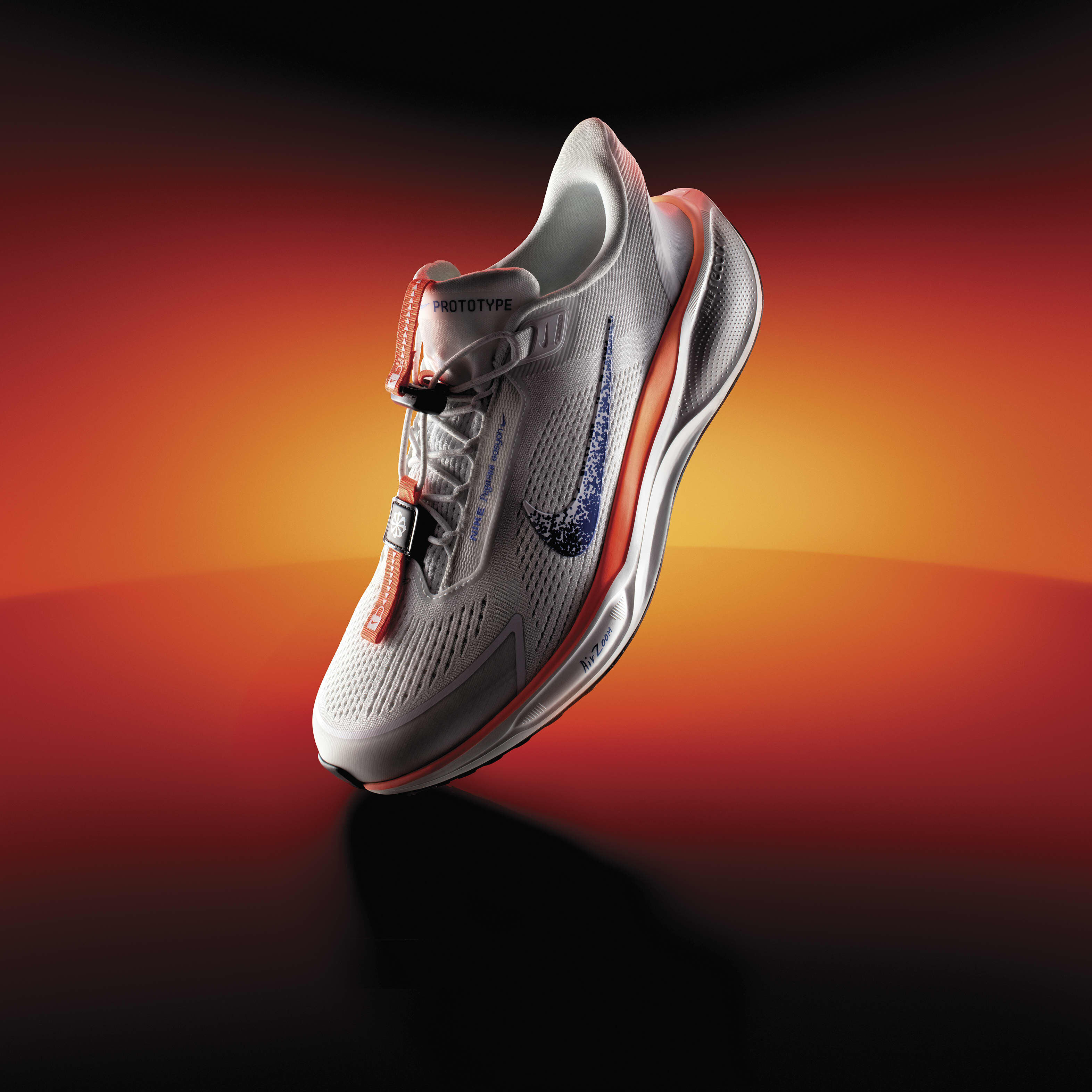 Nike Pegasus EasyOn Blueprint image number 0