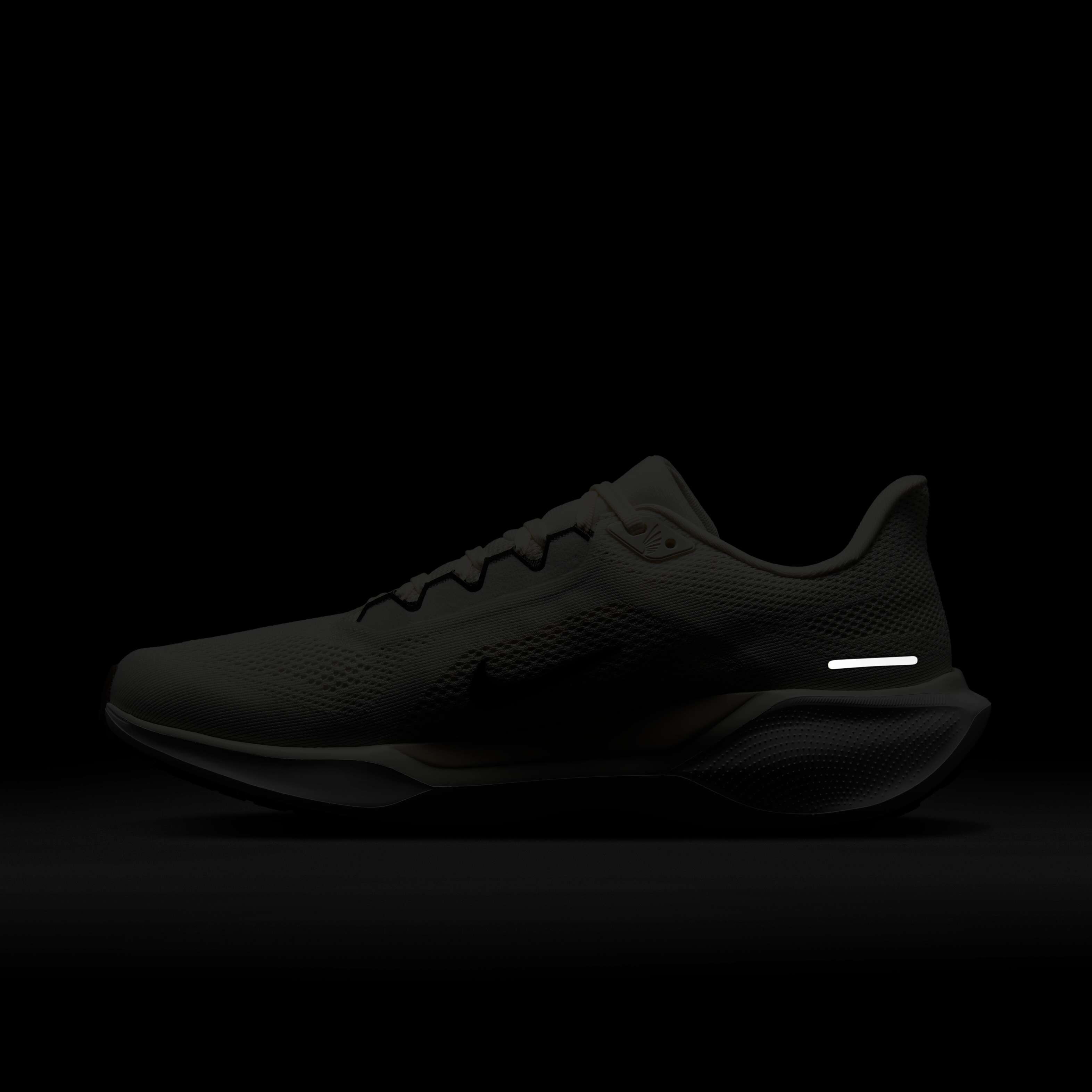 نايكي بيجاسوس 41 image number 10