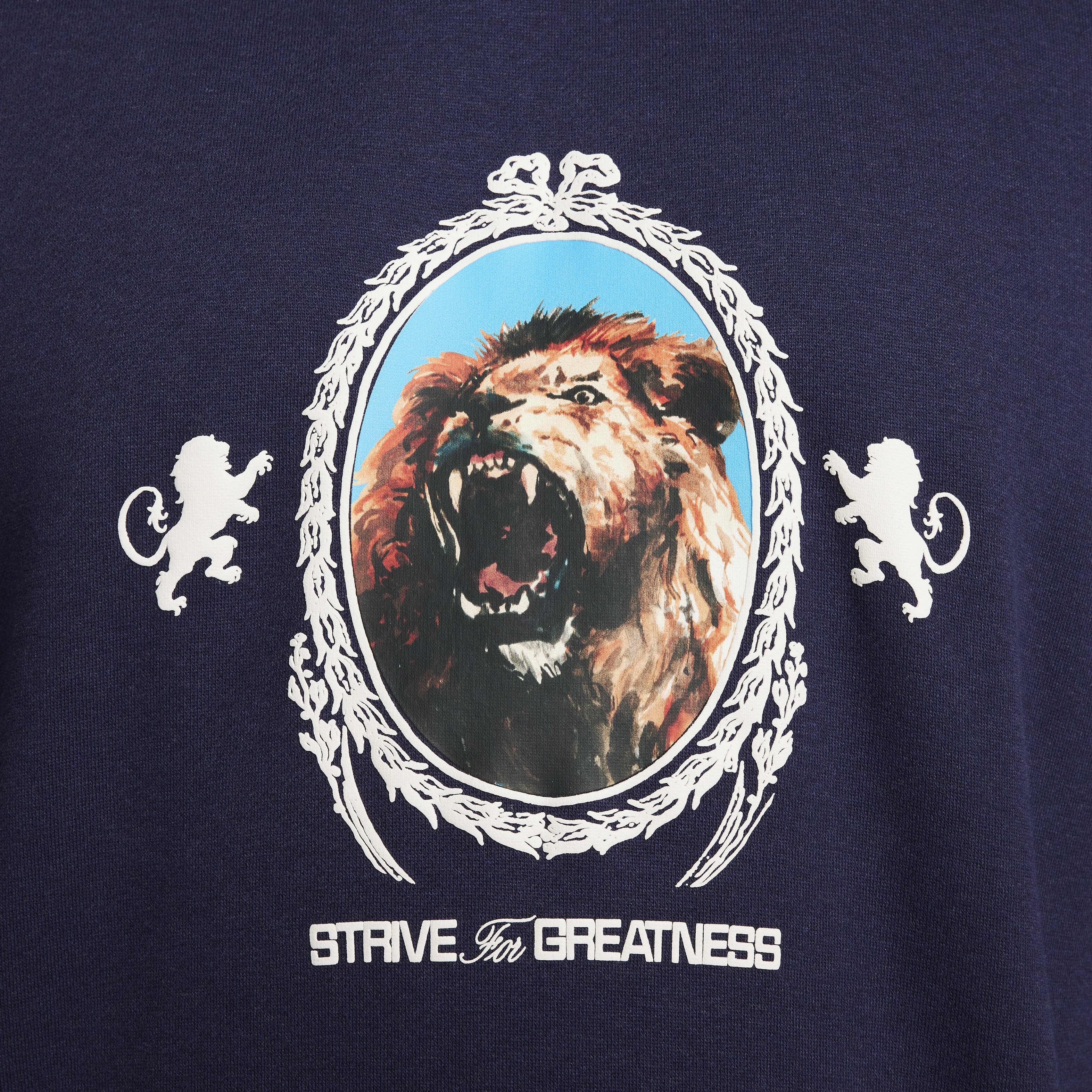 ليبرون image number 10