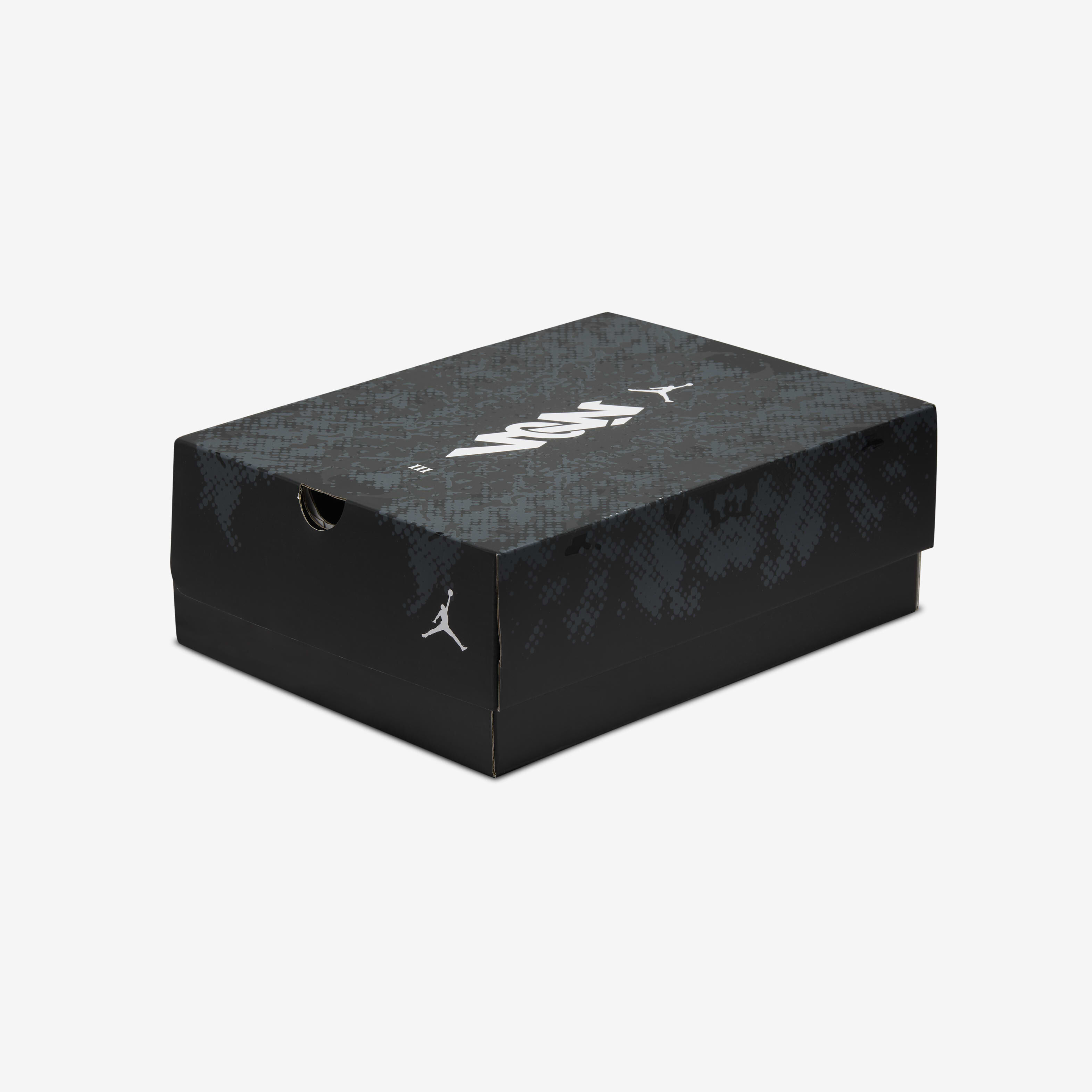 Zion 3 'Gen Zion' image number 8