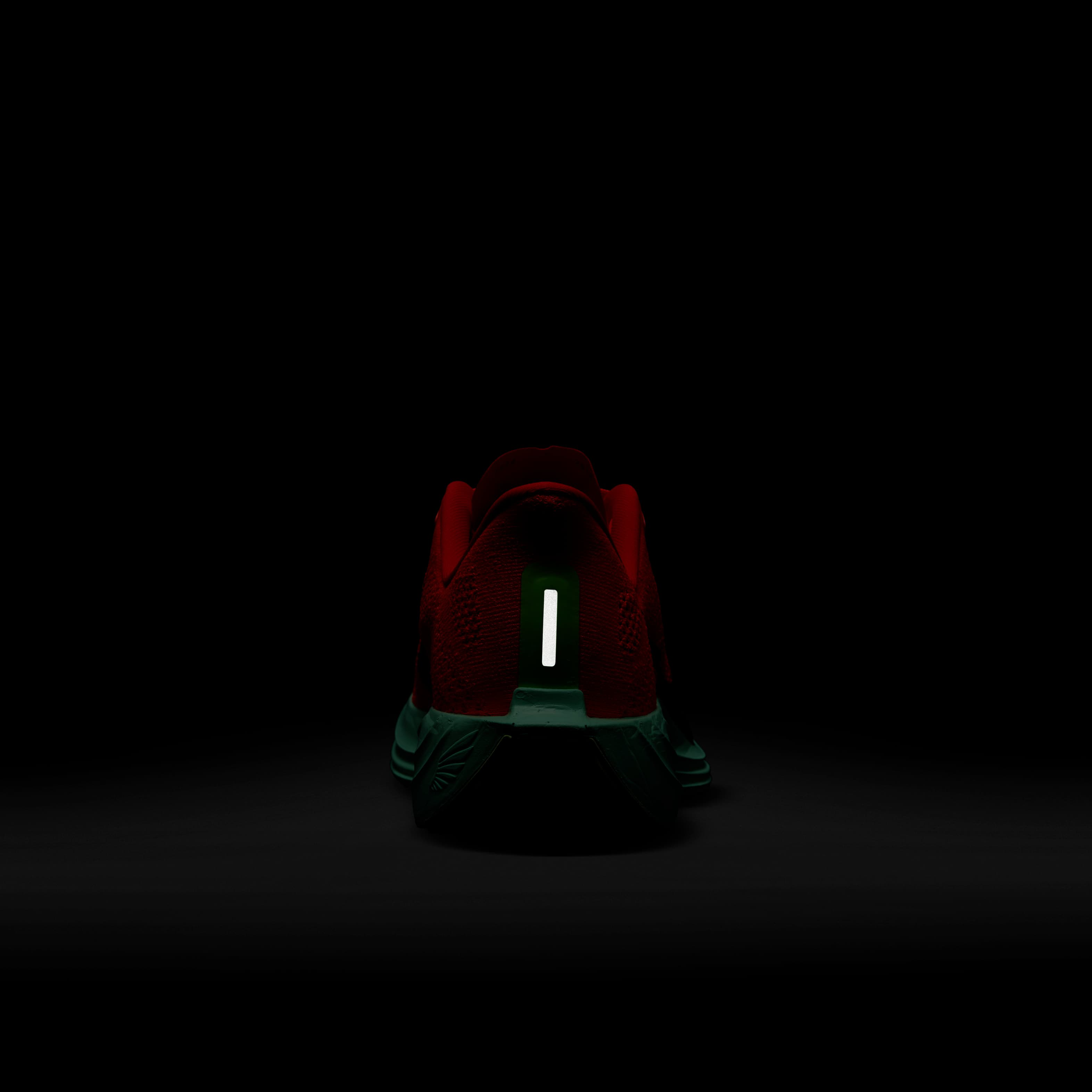 نايكي بيجاسوس بلس image number 9