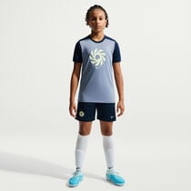 Erling Haaland Academy