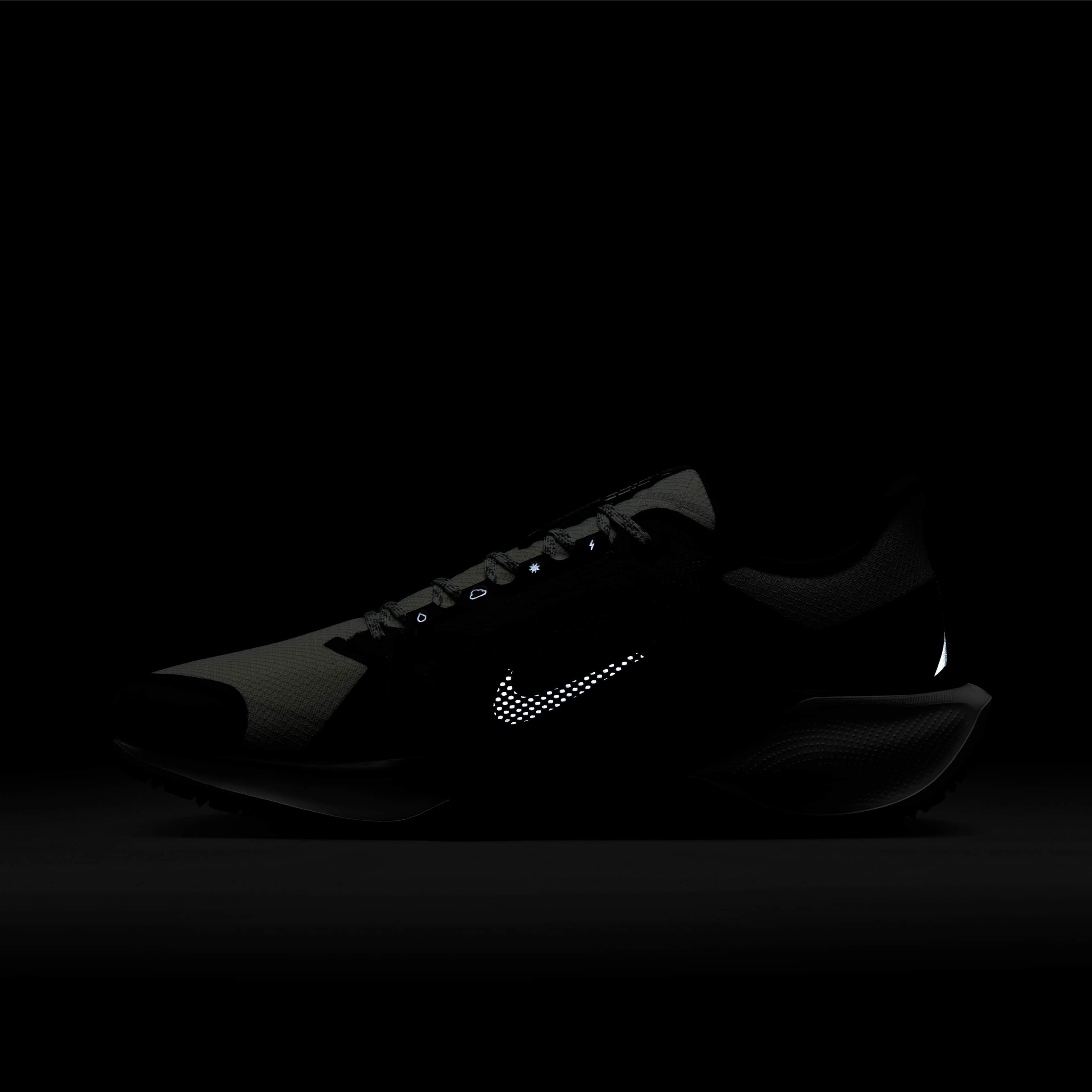 Nike Pegasus 41 GORE-TEX image number 11