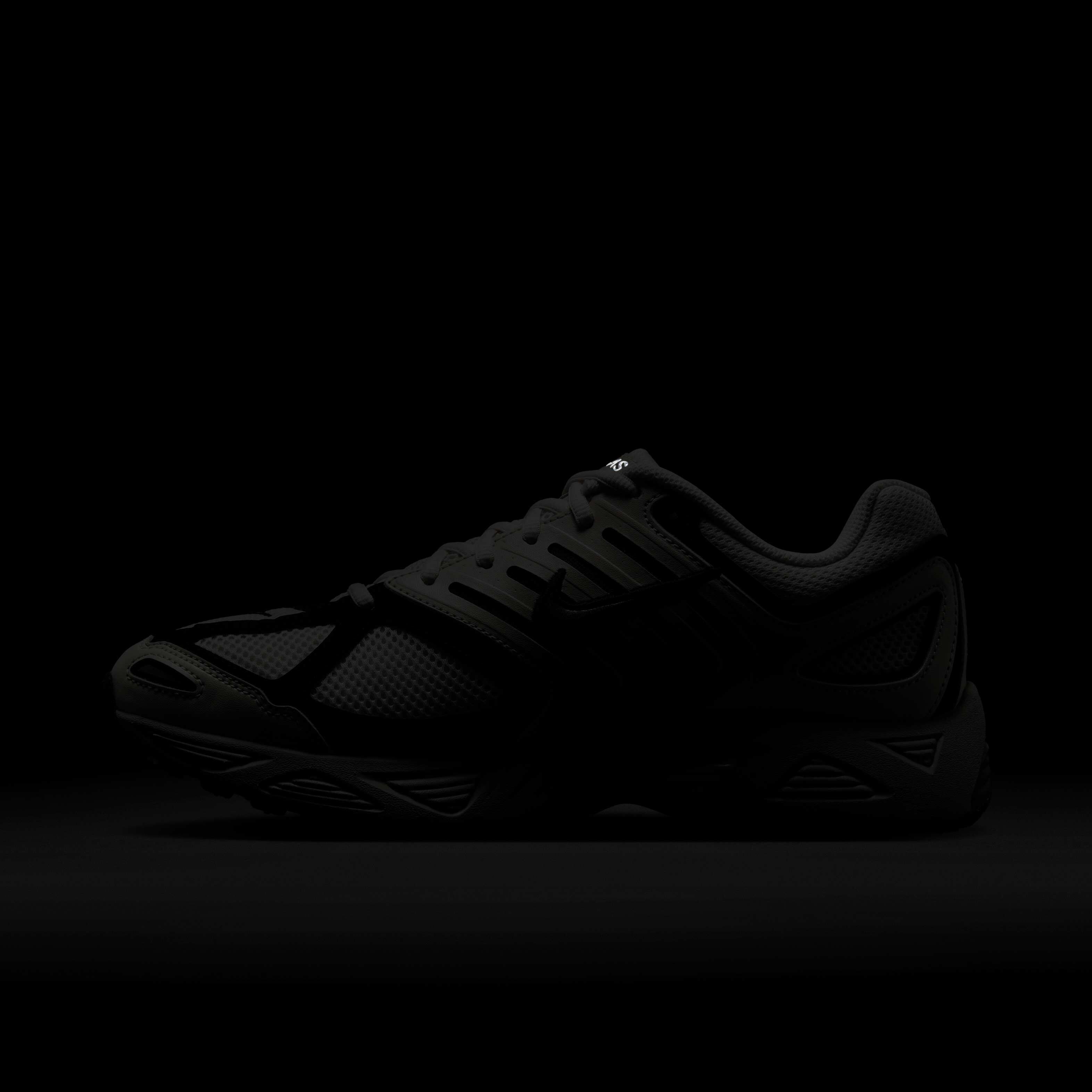 نايكي اير بيجاسوس 2005 image number 10