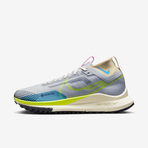 Nike Pegasus Trail 4 GORE-TEX