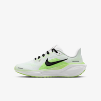 Nike Pegasus 41