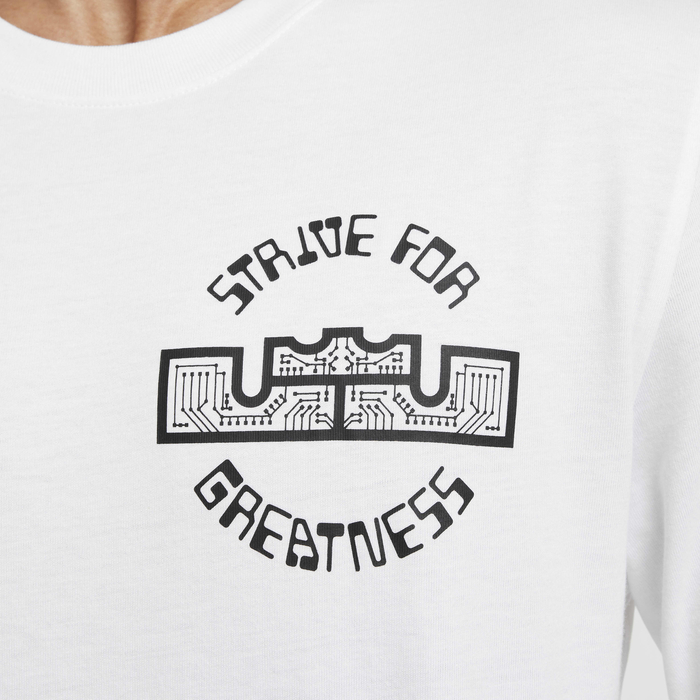 LeBron image number 3 LeBron image number 3