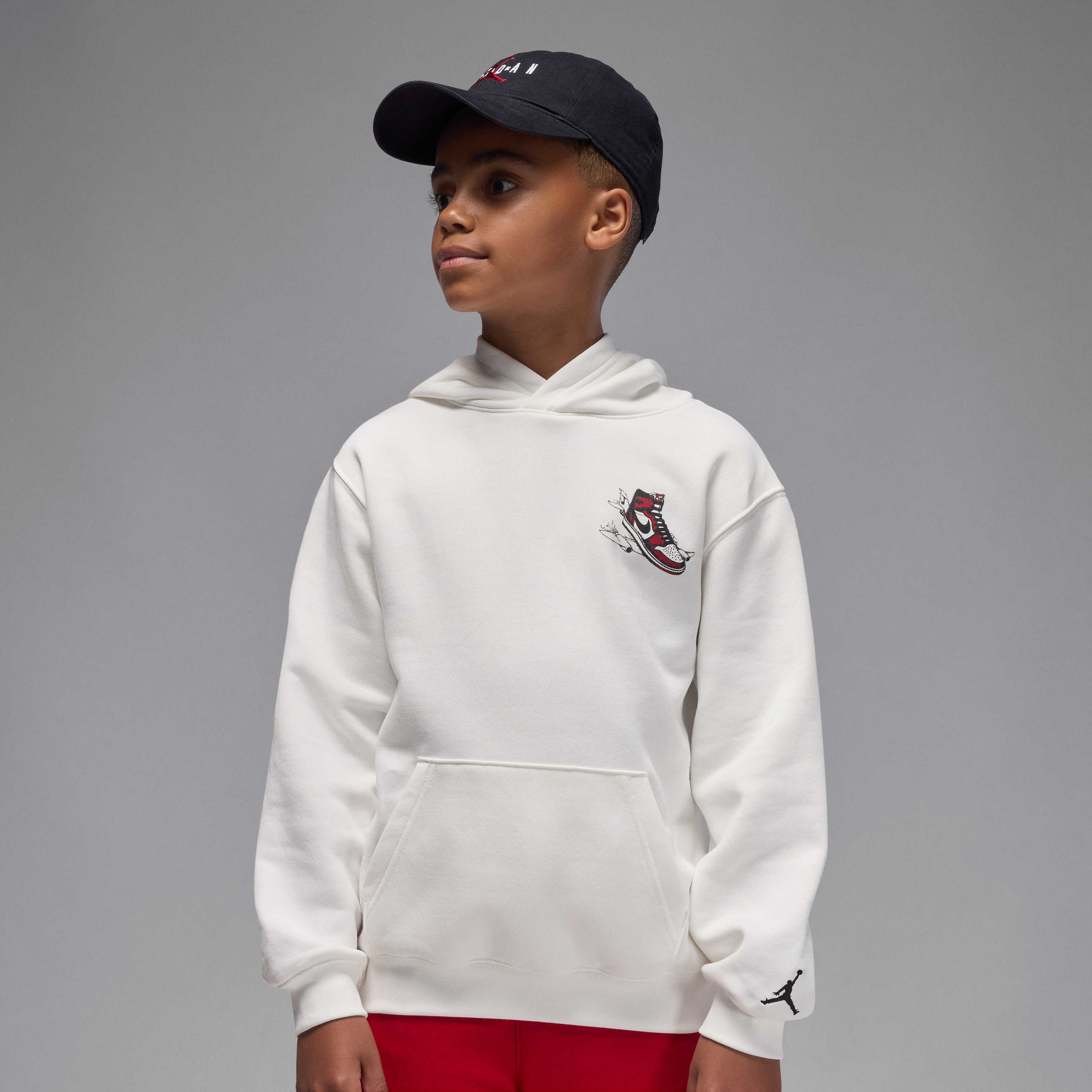 Buy Jordan Older Kids' 'Air Jordan Has Landed' Pullover Hoodie