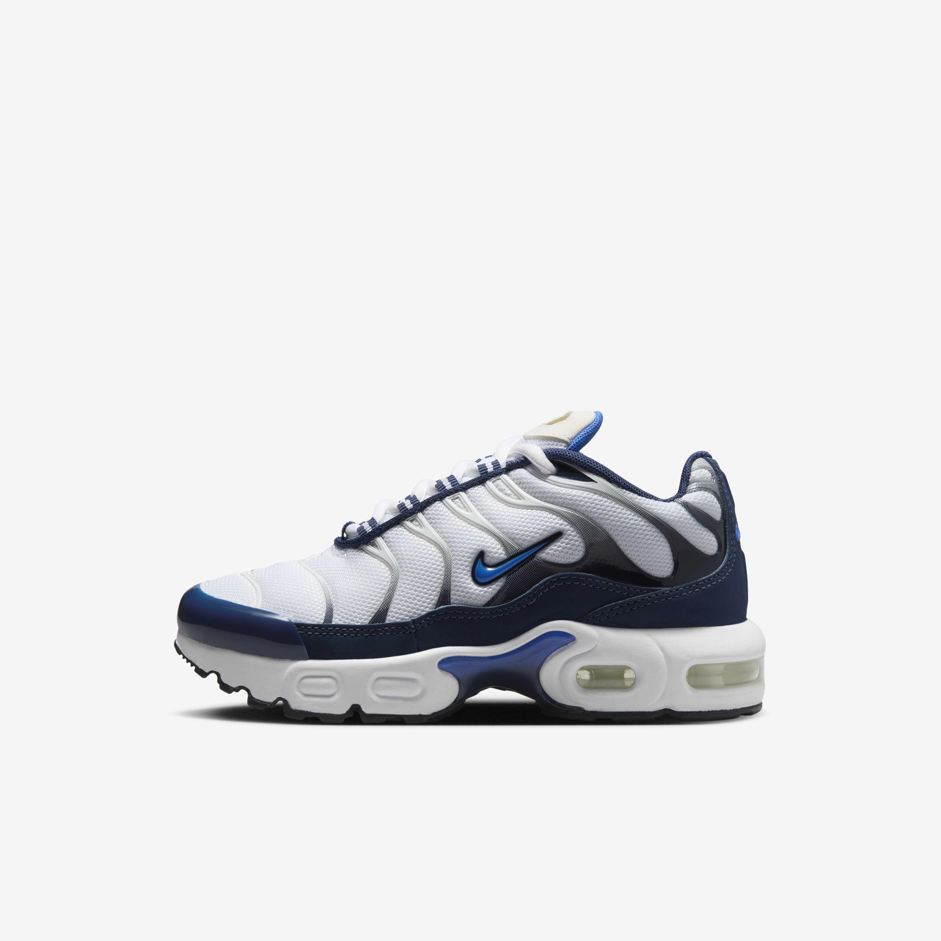 Nike Air Max Plus image number 0