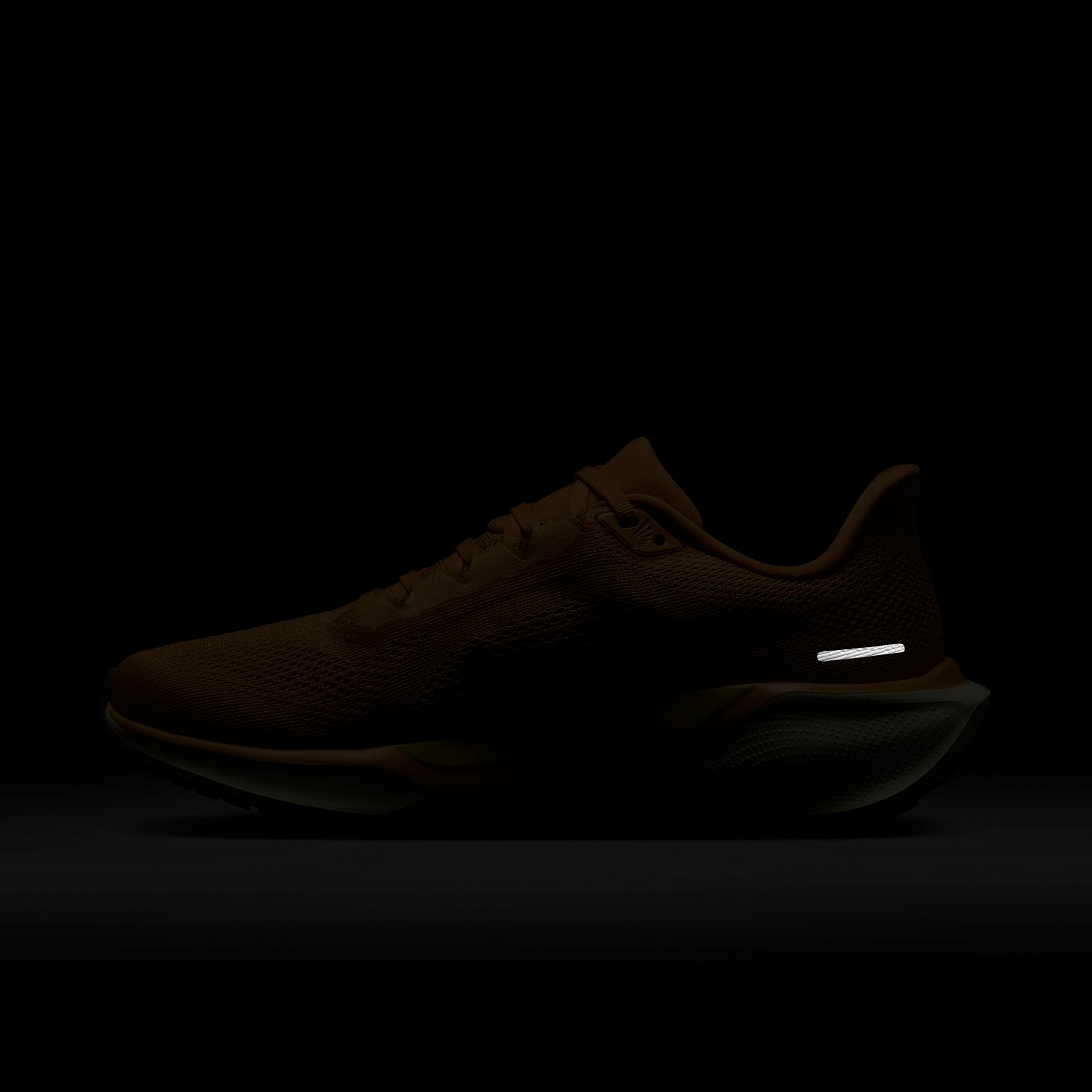 نايكي بيجاسوس 41 image number 11