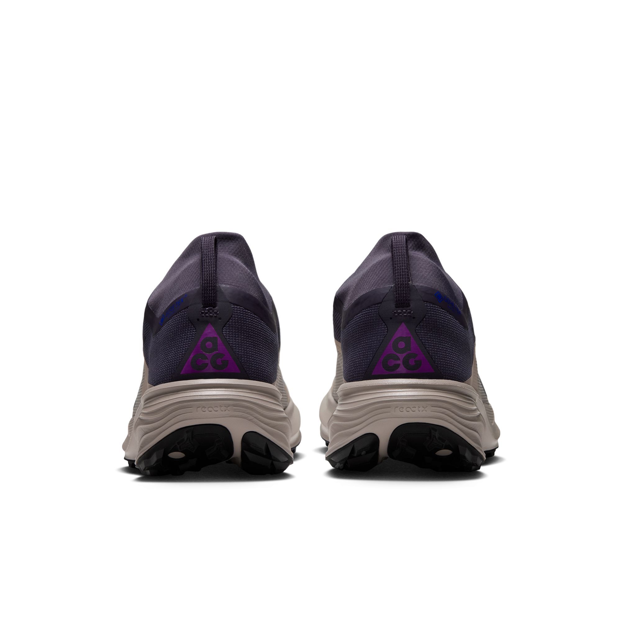 ACG بيجاسوس تريل GORE-TEX image number 1