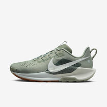 Nike Pegasus Trail 5