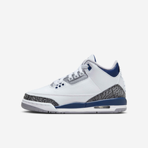 Air Jordan 3 Retro