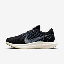 Nike Pegasus Turbo