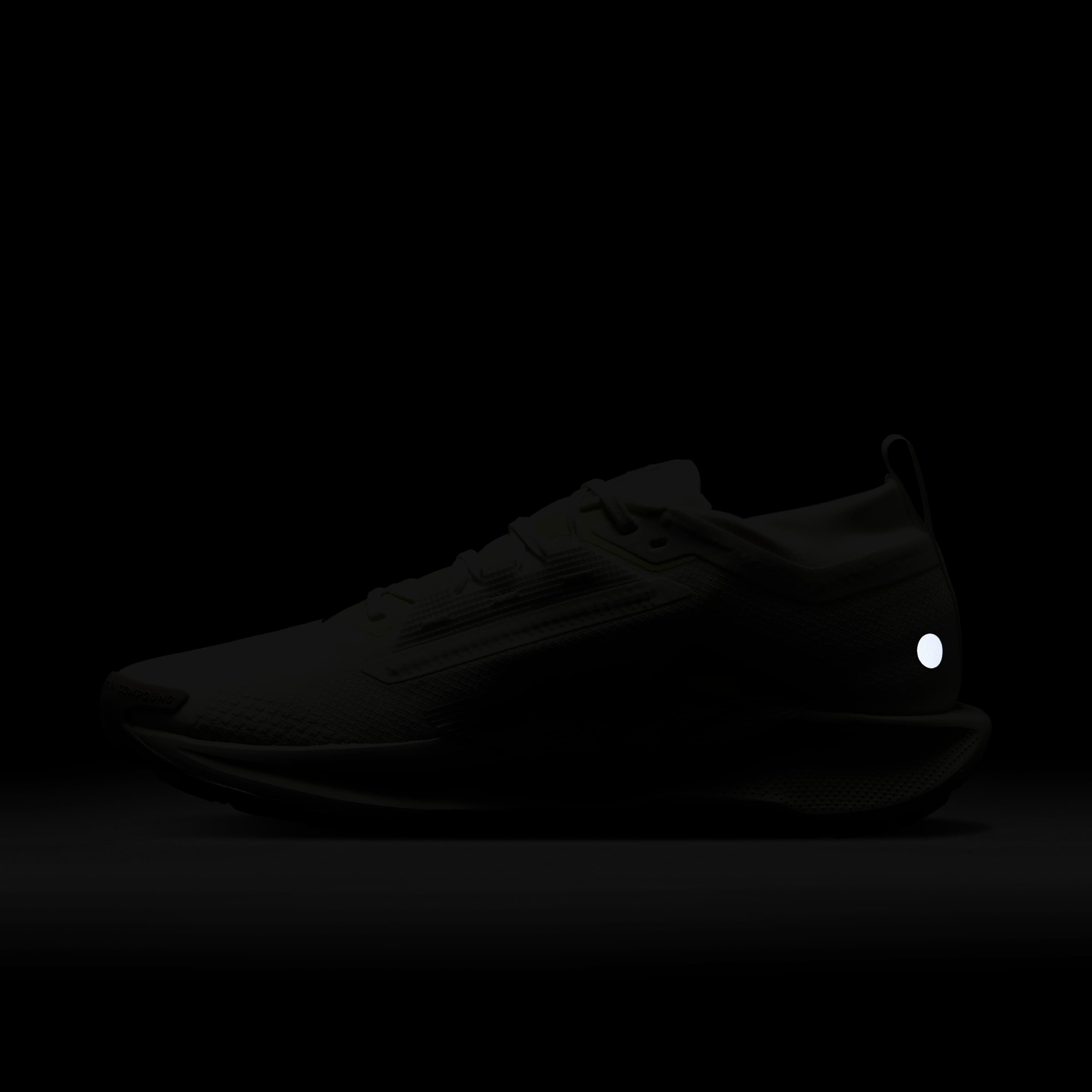 نايكي بيجاسوس تريل 5 جور-تكس image number 10