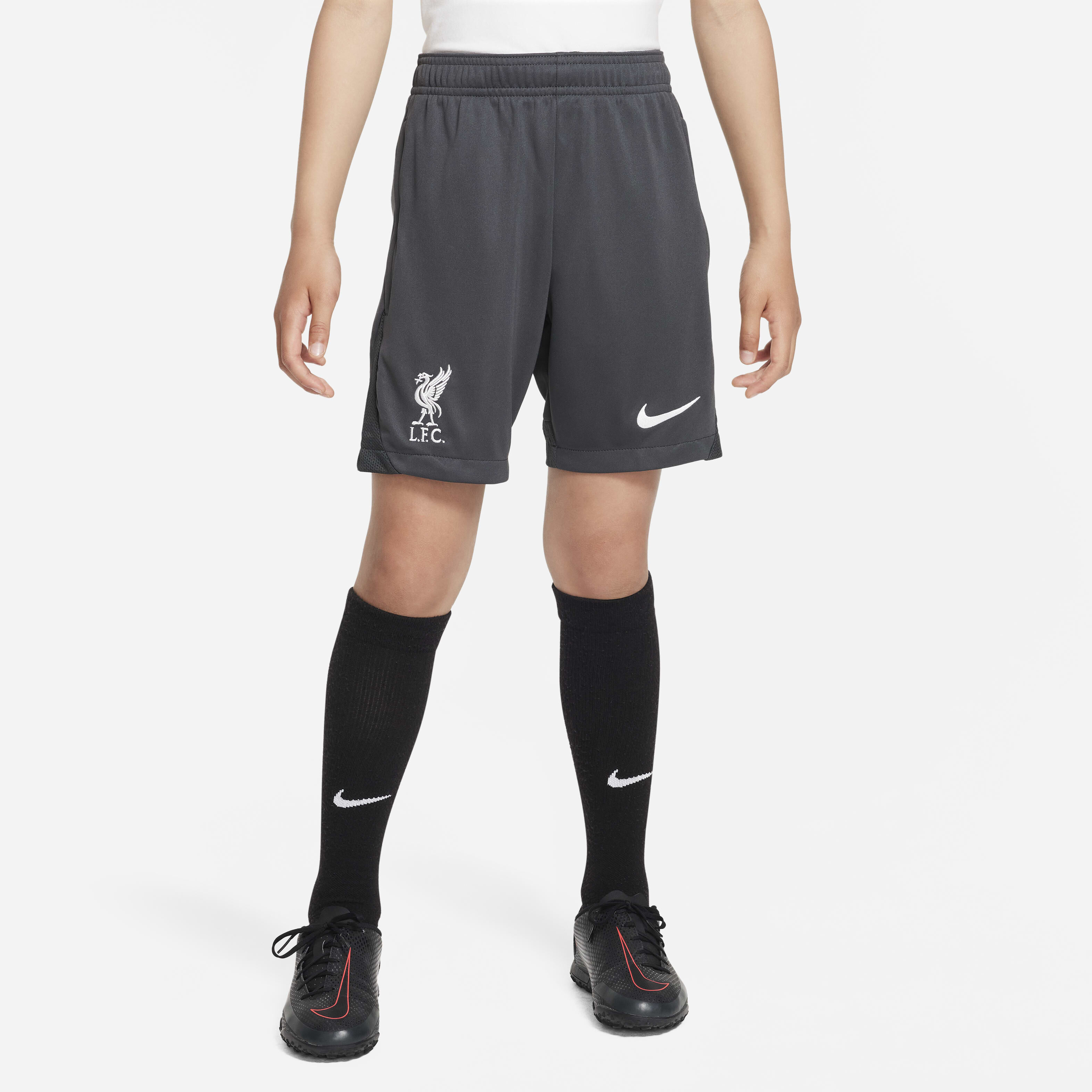 Liverpool F.C. Academy Pro image number 0