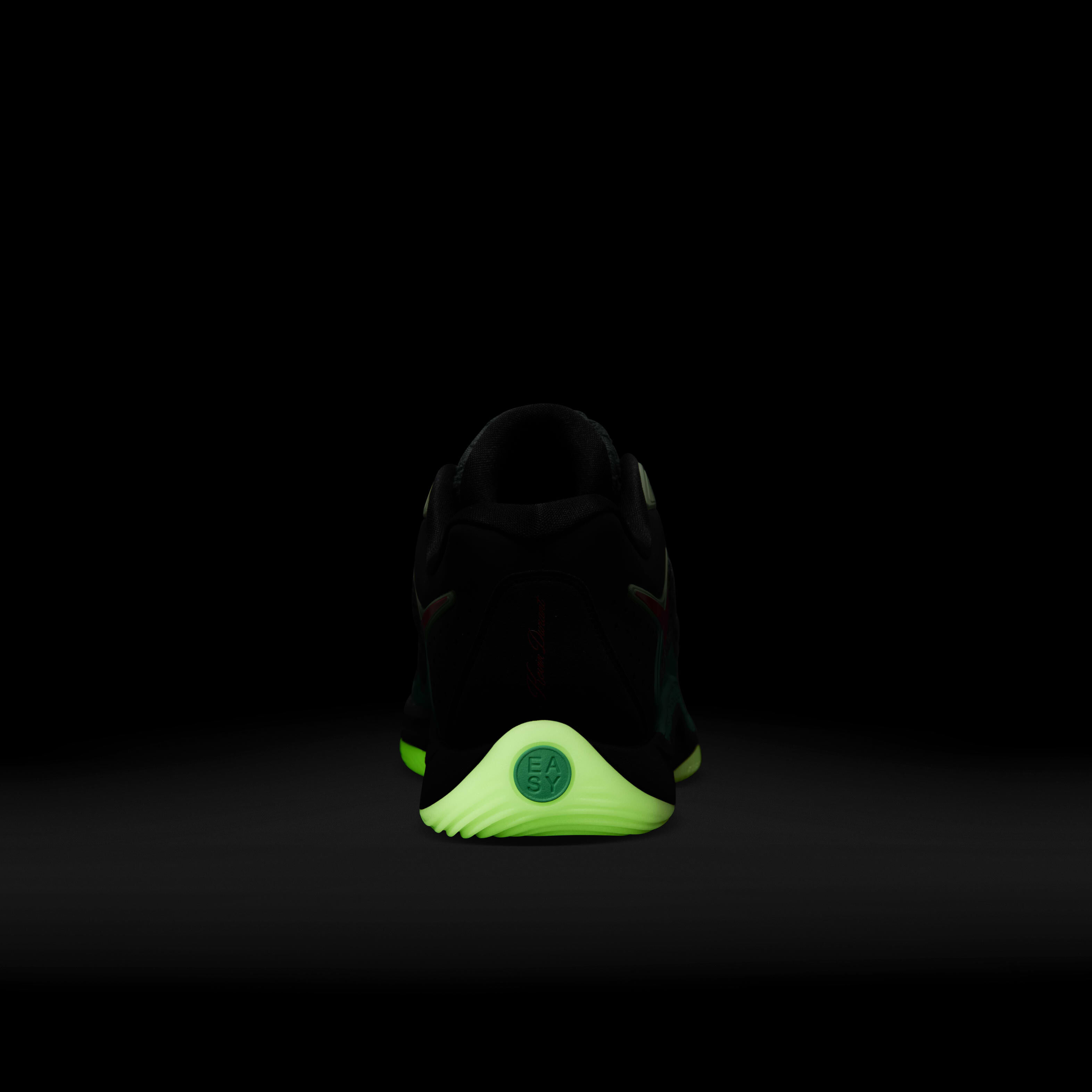 KD17 image number 8