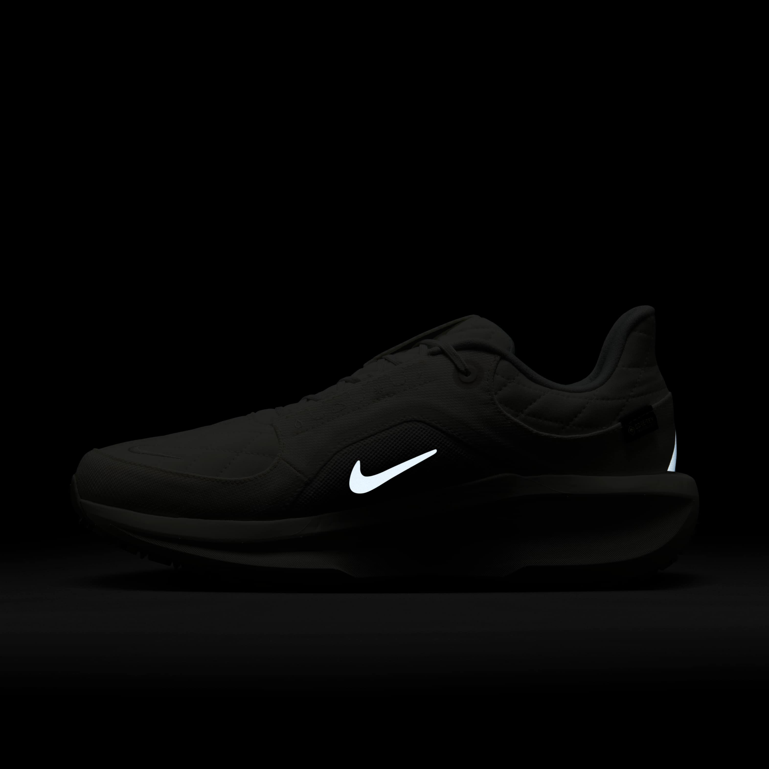 Nike Winflo 11 GORE-TEX image number 9